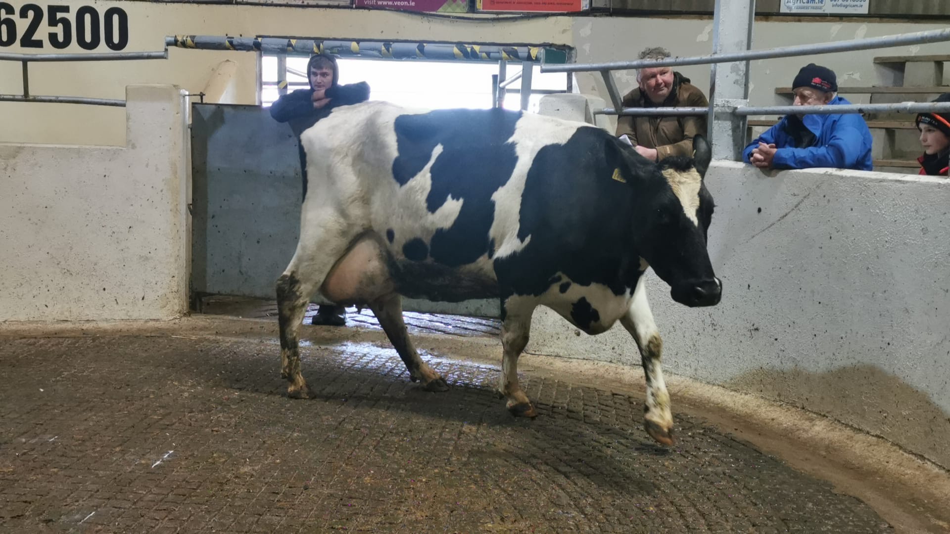 Lot 33: Kilvurra Fwe 1467 TessSold for €2,150