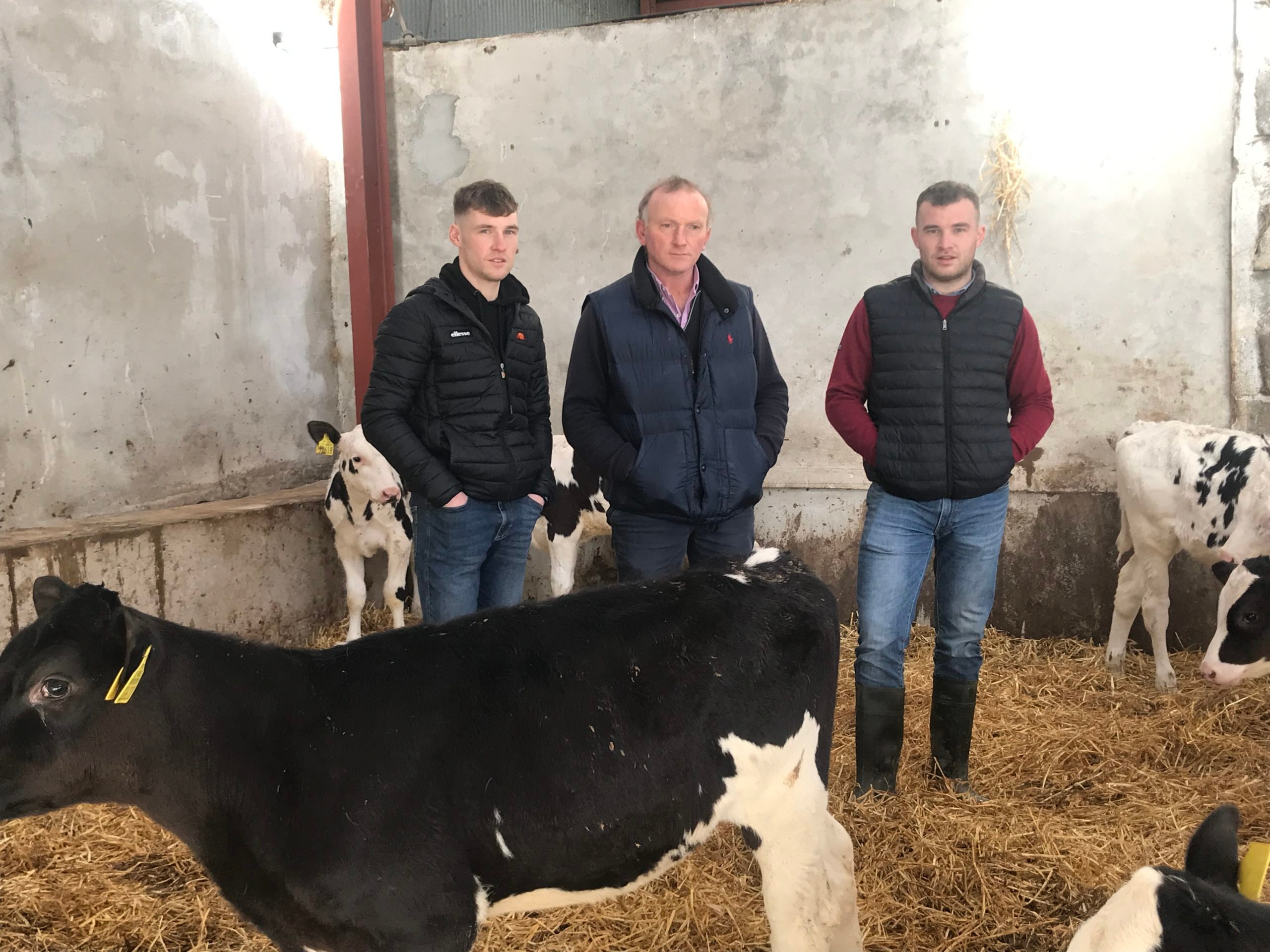 Darragh, Gerard and Gearoid Curtin