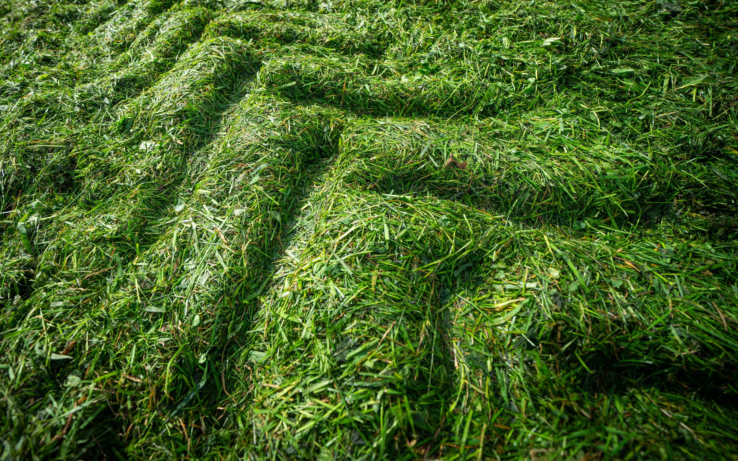 The 25mm knife spacing reduces the chop length making the crop easier to compact in the clamp