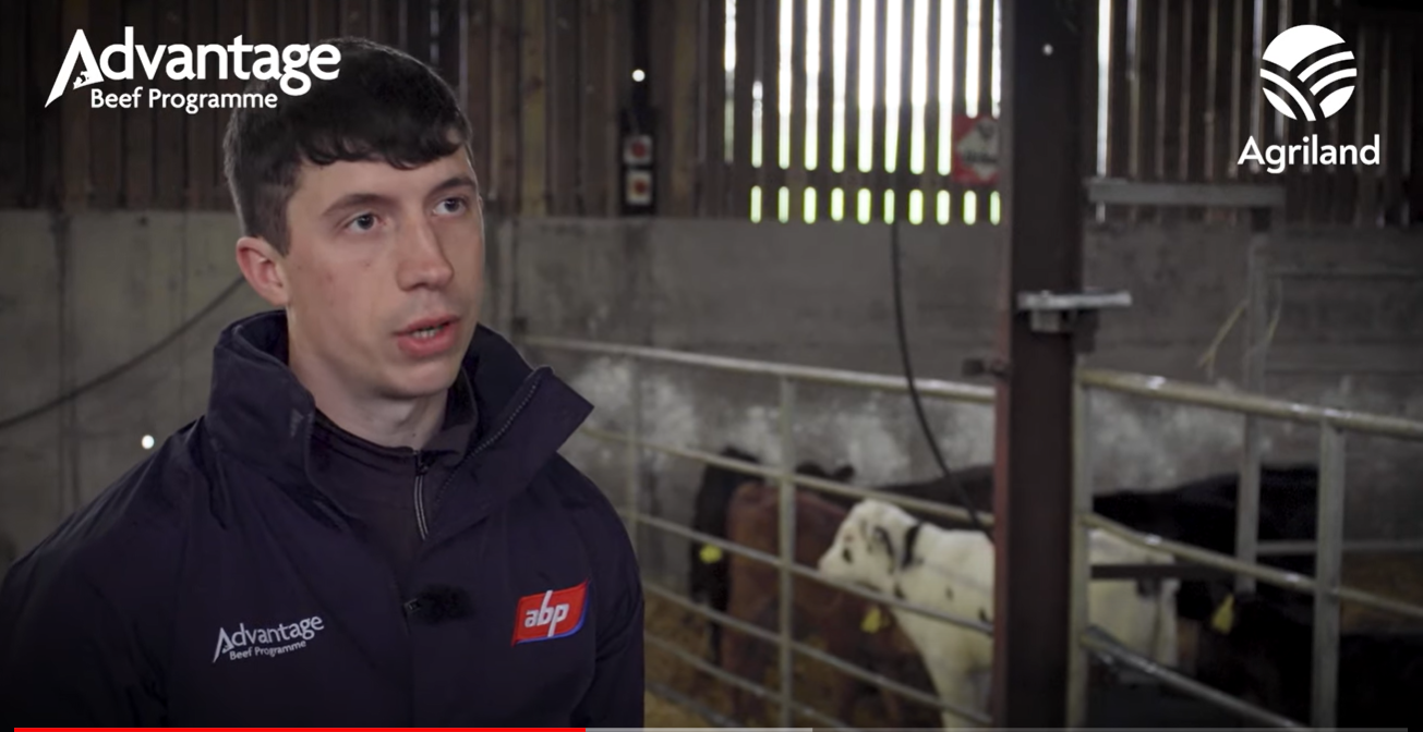 Sean Maher, Advantage Beef Programme farm liaison officer