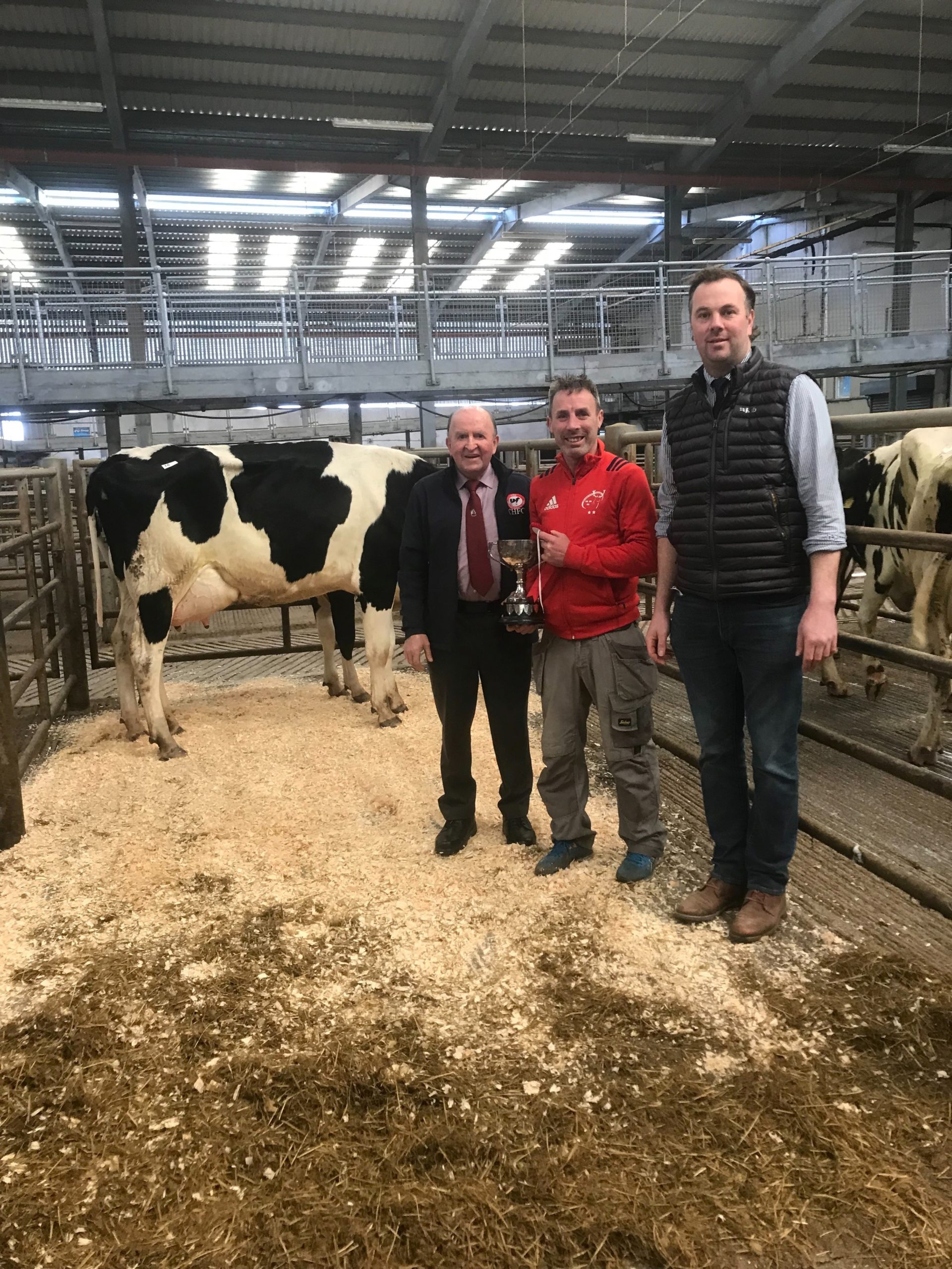 Champion cow: Dock Persus Oralie VG85 with owner Brain Hayes,&nbsp;Judge James Crowley and club president Pat Hayes(Image source: CHFC)