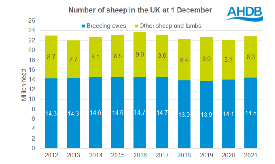 Source: AHDB