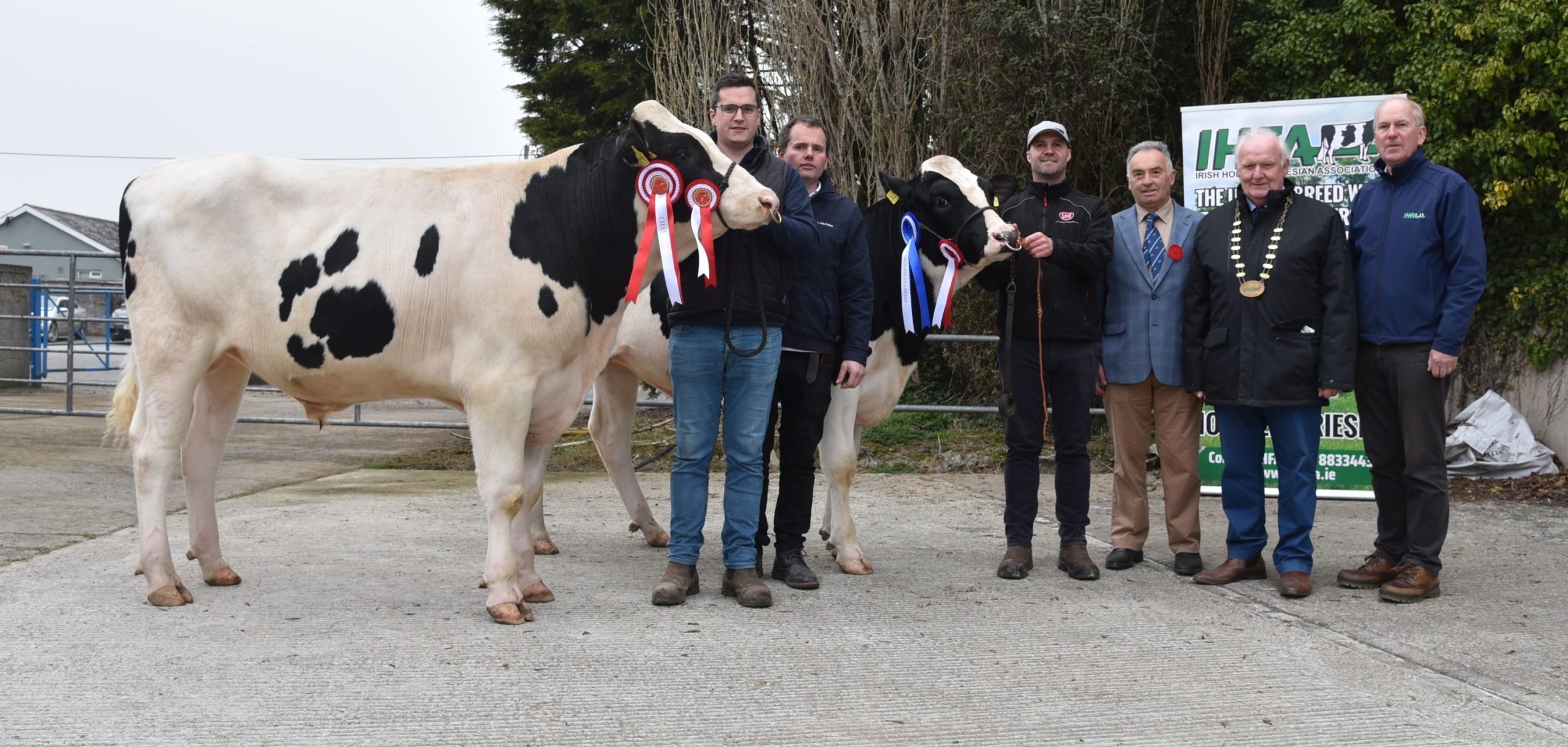 Brendan and Padraic Greenan with Champion bull Greenlea Ray, John O’Callaghan with Reserve Champion bull Mountfarna Hero, Mervy Eager (show judge), PJ Kelly, (IHFA President) and Charles Gallagher (IHFA CEO). Image source IHFA (photo by Martin Ryan)