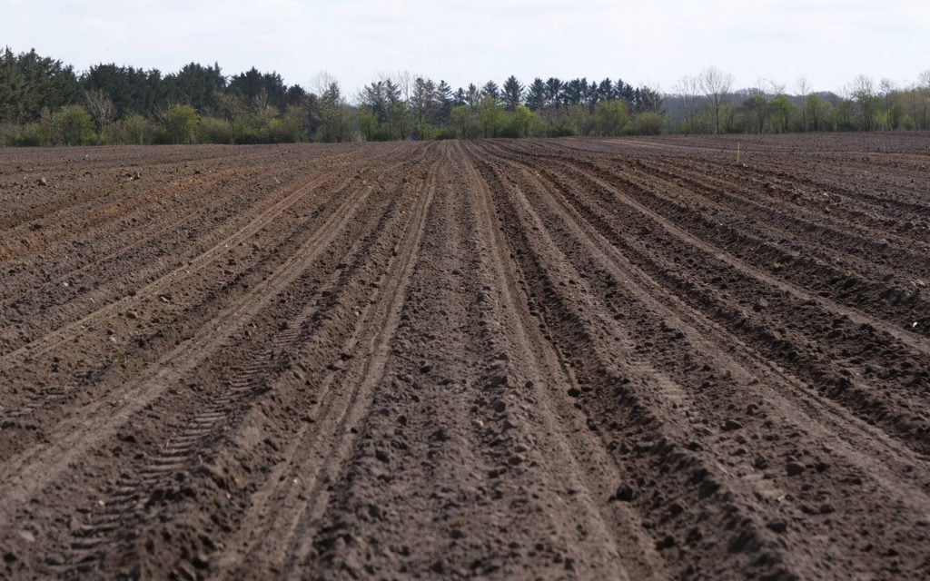 The four tyres only run on the strip of the soil between rows