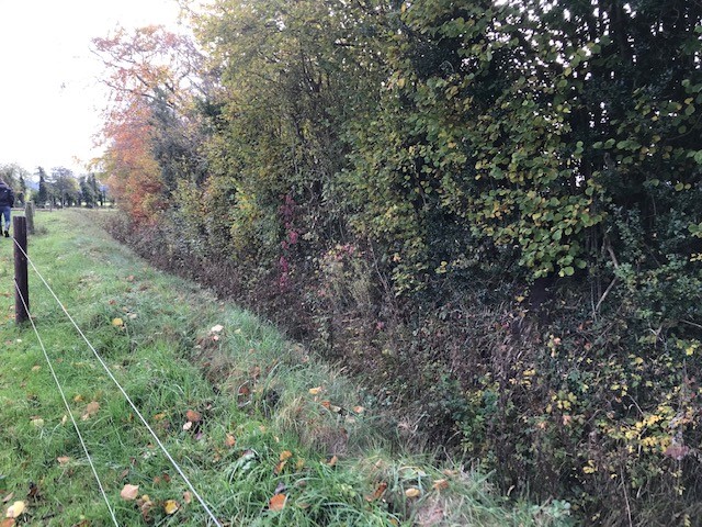 The waterbody is fenced 1.5m from the top of the bank, allowing for a good grass buffer between the field and waterbody