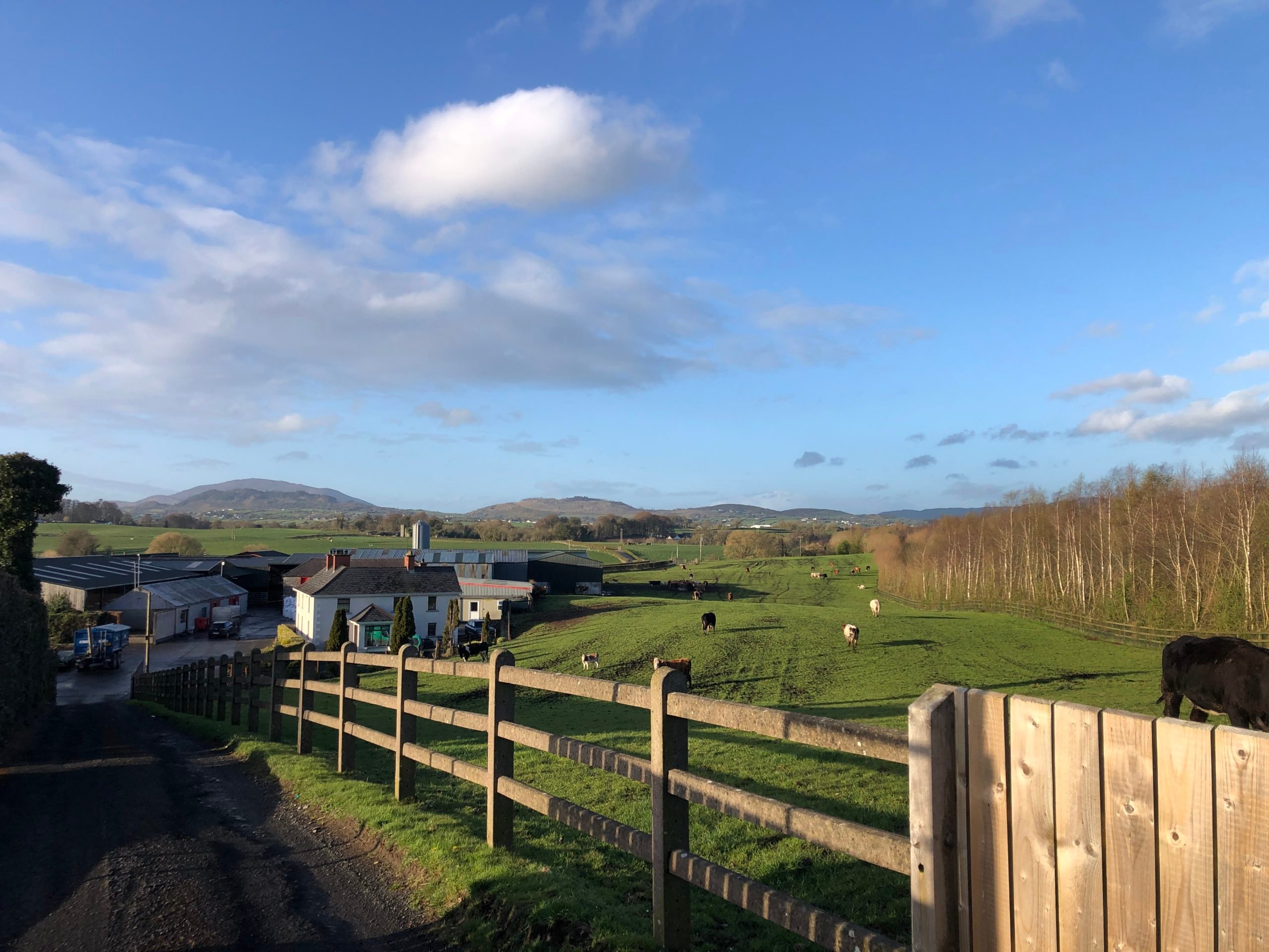 View of the farm