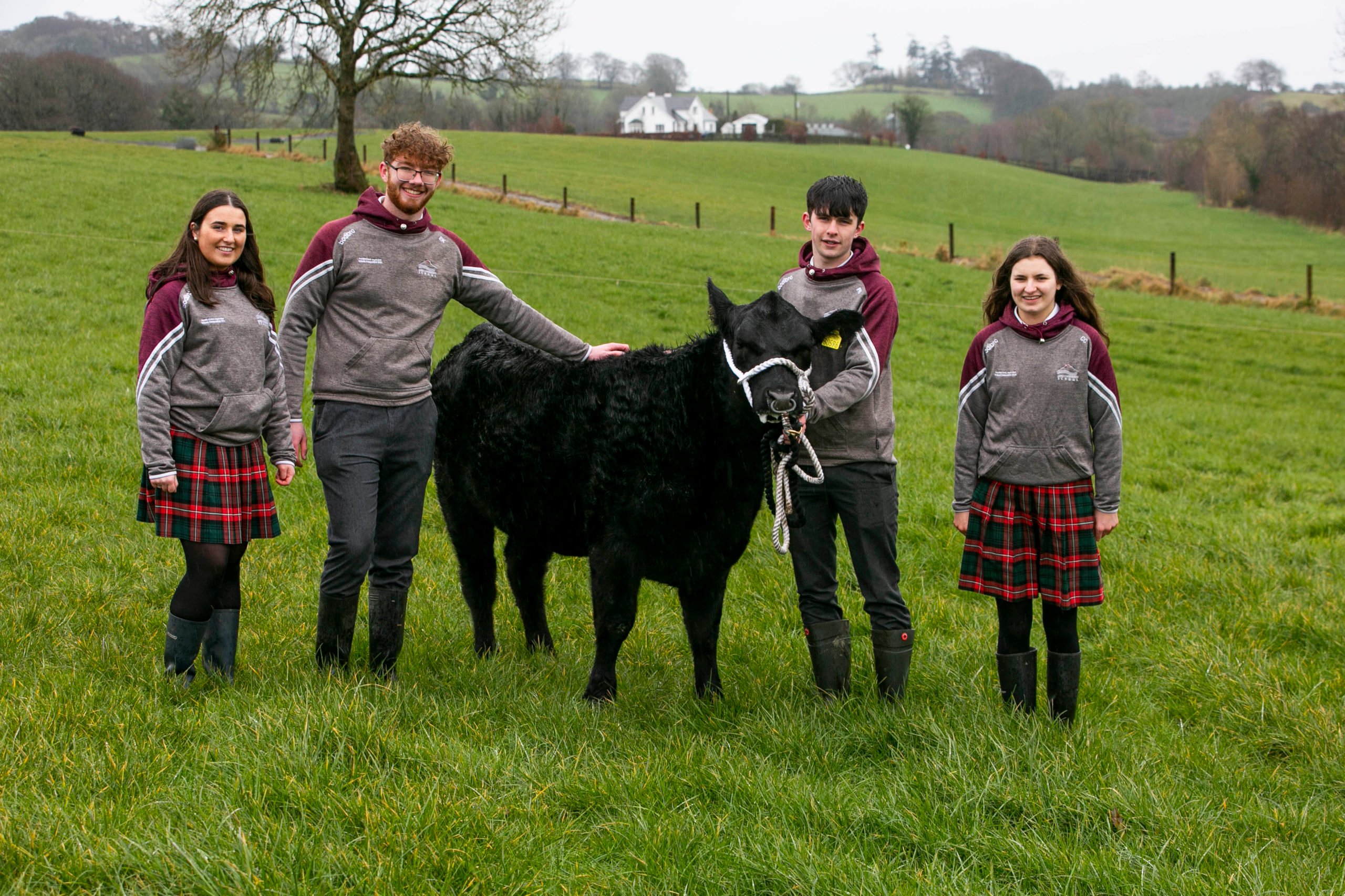 Caoimhe Horan, Eoin Kelly, Padraig Kinsella and Caoimhe Crean from Gorey Community School - winners of the 2022 Certified Irish Angus Schools Competition. Image source: Chris Bellew/Fennell Photography