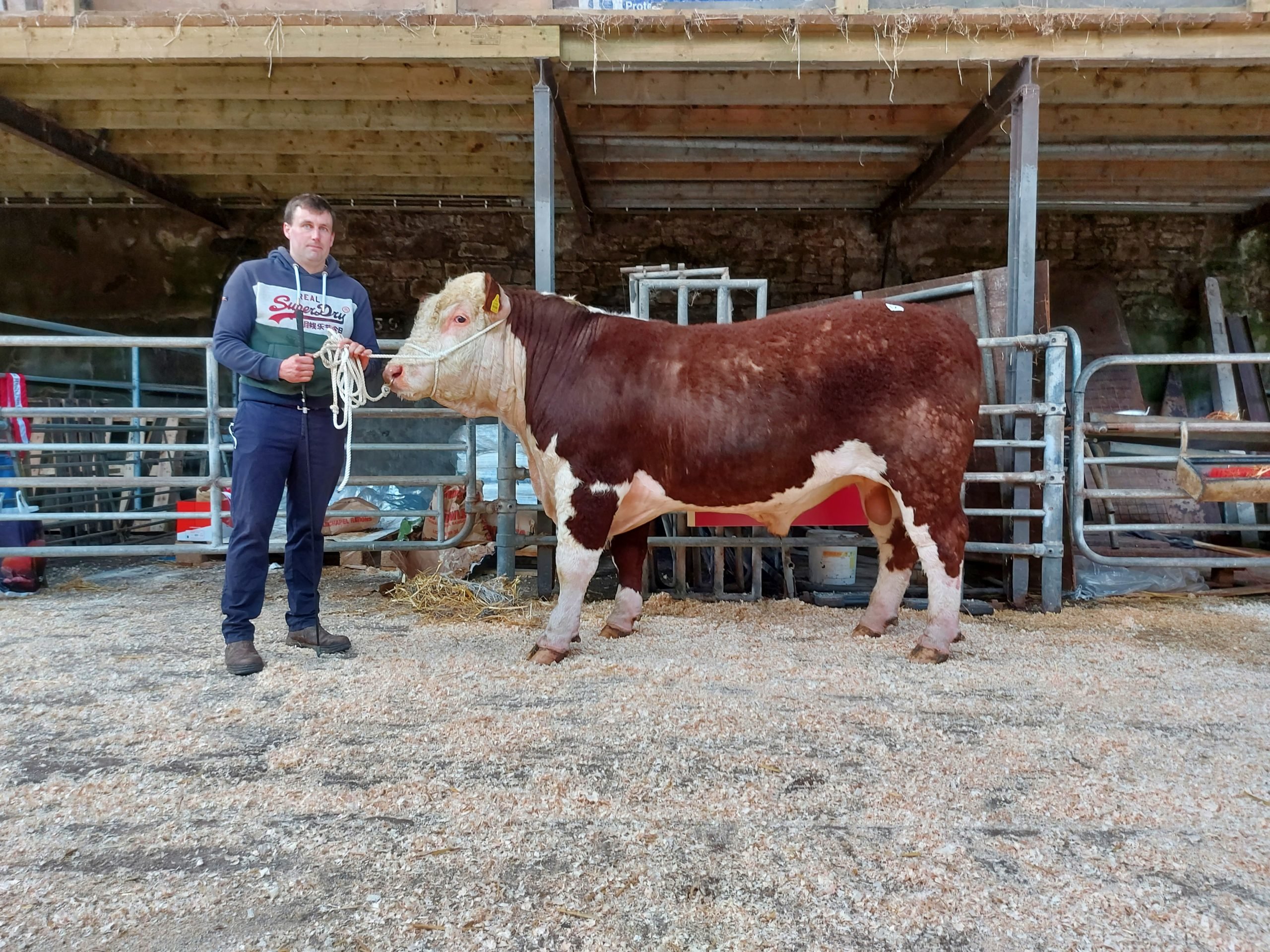 Skehanore Genuine pictured with Paddy Hickey