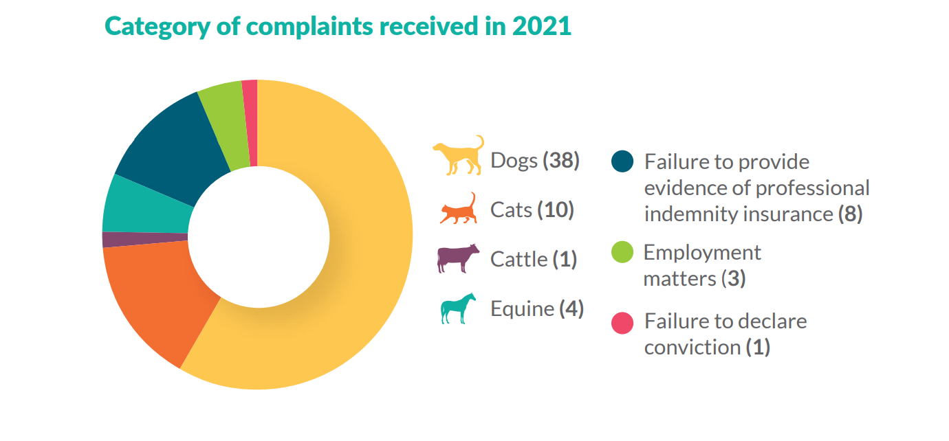 Image source: VCI Annual Report 2021