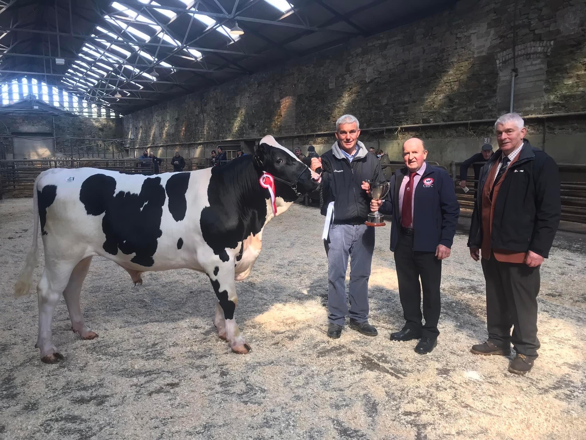 Champion of the day and top price bull at €3,300&nbsp;Laurelelm Pedro with breeder Ricky Barrett, CHFC president Mr. Pat Hayes and Judge Carlise Smith(Image source CHFC)&nbsp;
