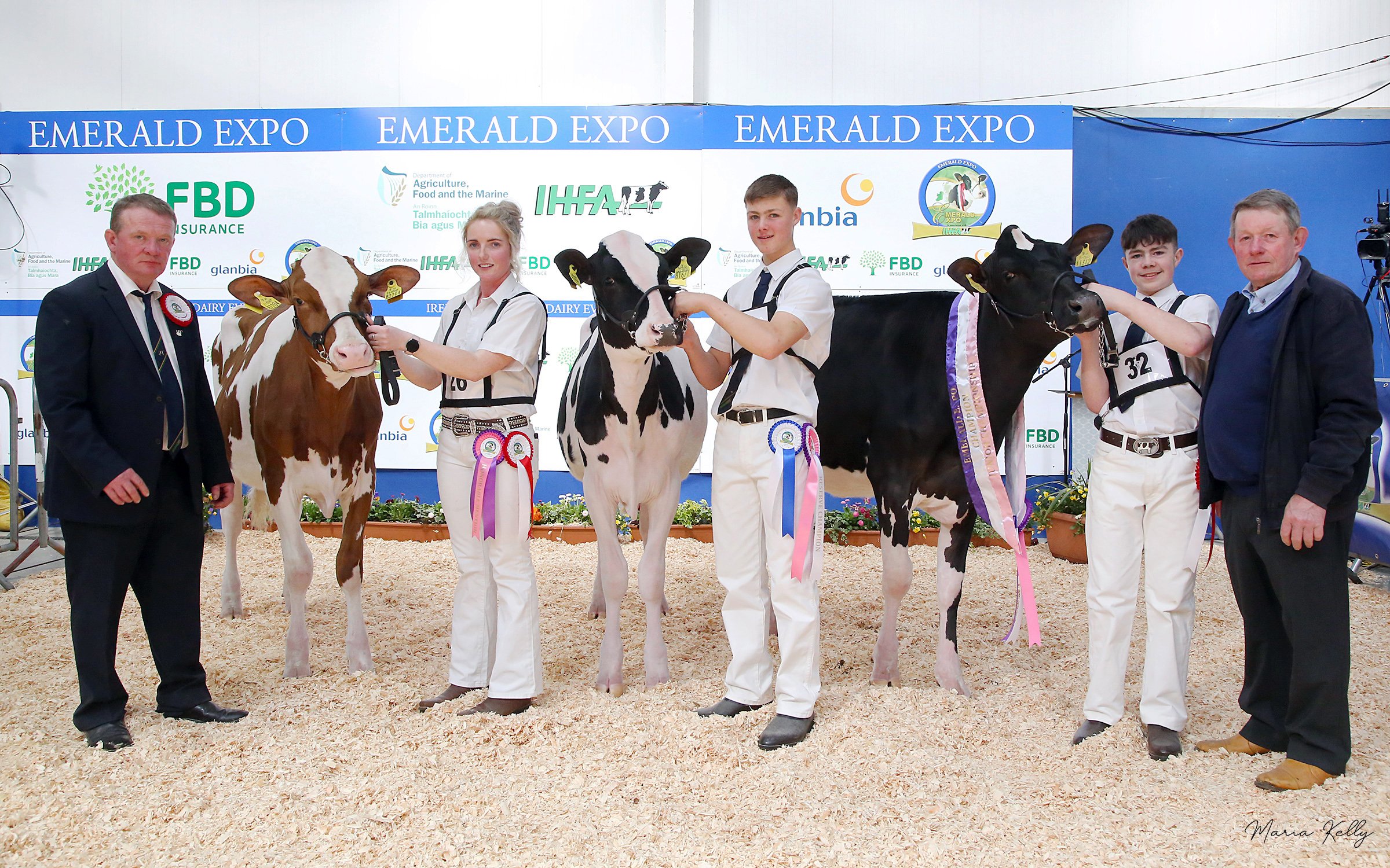 Junior Holstein Championship Paul Hannan, Judge , Honourable Mention Dalevalley Jordy Hot Red P Et, exhibited by Louise and Richard Whelan, Meath, handler Stacey O Sullivan, Reserve Junior Champion, Hallow Solomon Arengatang Et, exhinited by Philip and Linda Jones, Wexford, handler Will Jones,  Junior Champion Ballyboy Awsome Carmen, Jim and Una Sinnott, Handler Josh Sinnott, Winston Bennett, sponsor. Breffni Oriel Holstein Friesian Club. Photo Maria Kelly