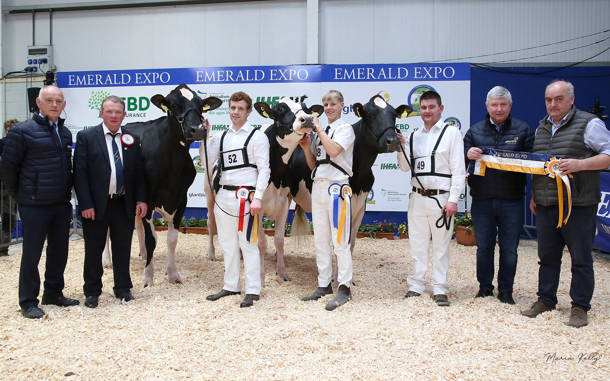 Intermediate Championship, Eamon McEnteggart, Glanbia,  Paul Hannan Judge, Honourable Mention, Greenlea Splendid Katrina ET, exhibited by Padraic Greenan, Monaghan handler Colin Todd, Reserve Intermediate Champion, Clonpaddin Doc Twizzle, exhibited by Garry and John Hurley, Wicklow, handler Brian Hurley, Intermediate Champion, Bawnmore Pepper Almeric, exhibited by John O'Connor, Cork, handler Paul Murphy,  Denis O'Sullivan, sponsor . Glanbia.  Photo Maria Kelly