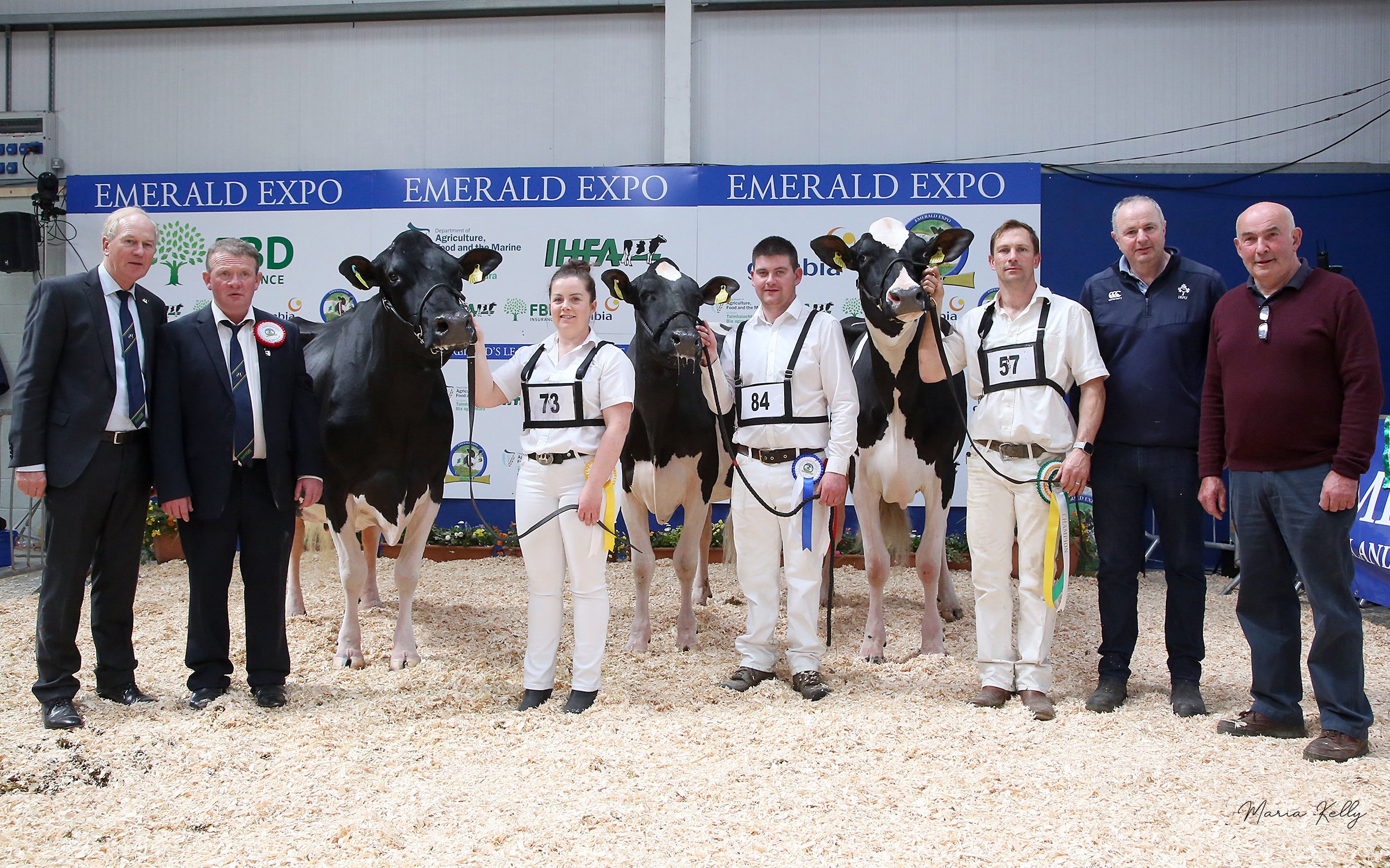 Exhibitor Bred Championship, Charles Gallagher CEO IHFA, Paul Hannan, Judge, Honourable Mention, Balyboy Sid Carmen, exhibited by Jim and Una Sinnott, Wexford,  handler Laura Sinnott, Reserve Champion, Bawnmore Pepper Almeric, exhibited by John O'Connor,  Cork, handler Paul Murphy,  Champion, Monamore Diamond Barbie, exhibited by Tom and James Kelly and Alan Dorian, Louth, handler Richard Jones.  Photo Maria Kelly