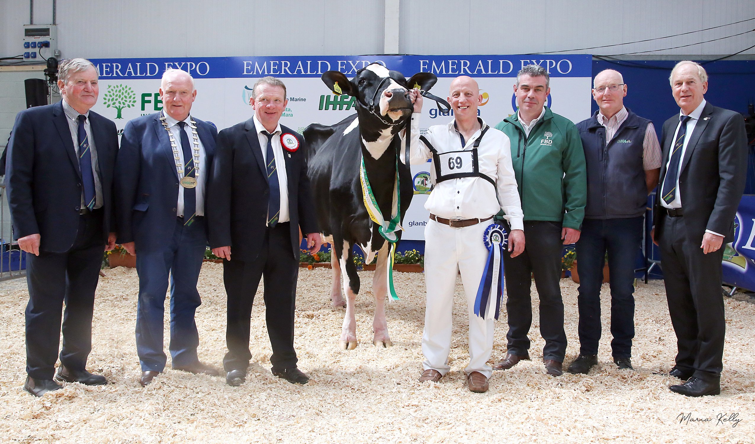 Overall Senior Champion, Richard Whelan Emerald Expo Show Director, PJ  Kelly IHFA President,  Paul Hannan, Judge, Overall Senior Champion, Clonpaddin G Fame Et, exhibited by John Dowling, Meath, Conor McGovern, FBD sponsor, Patrick Gaynor Virginia Show Committee, Charles Gallagher CEO IHFA, Photo Maria Kelly