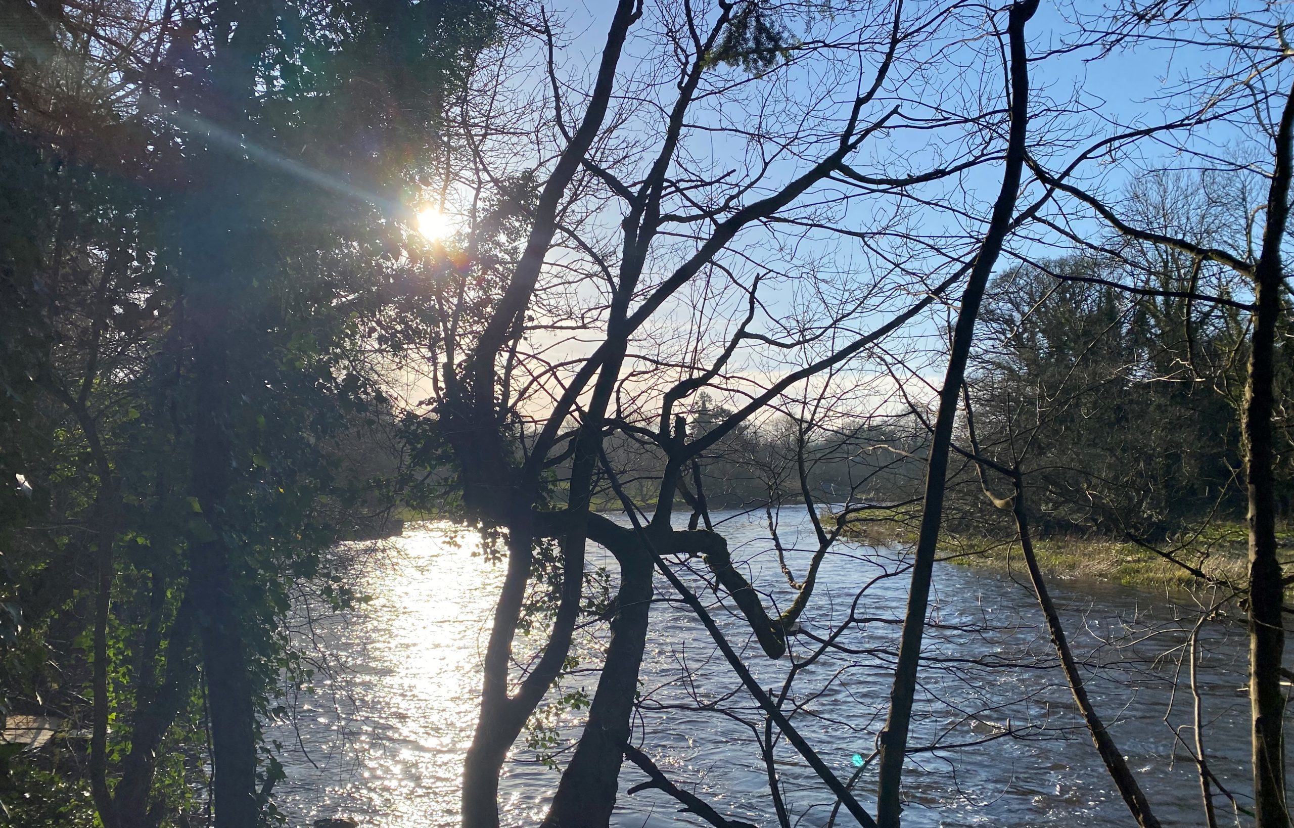 Image source: Save the Boyne