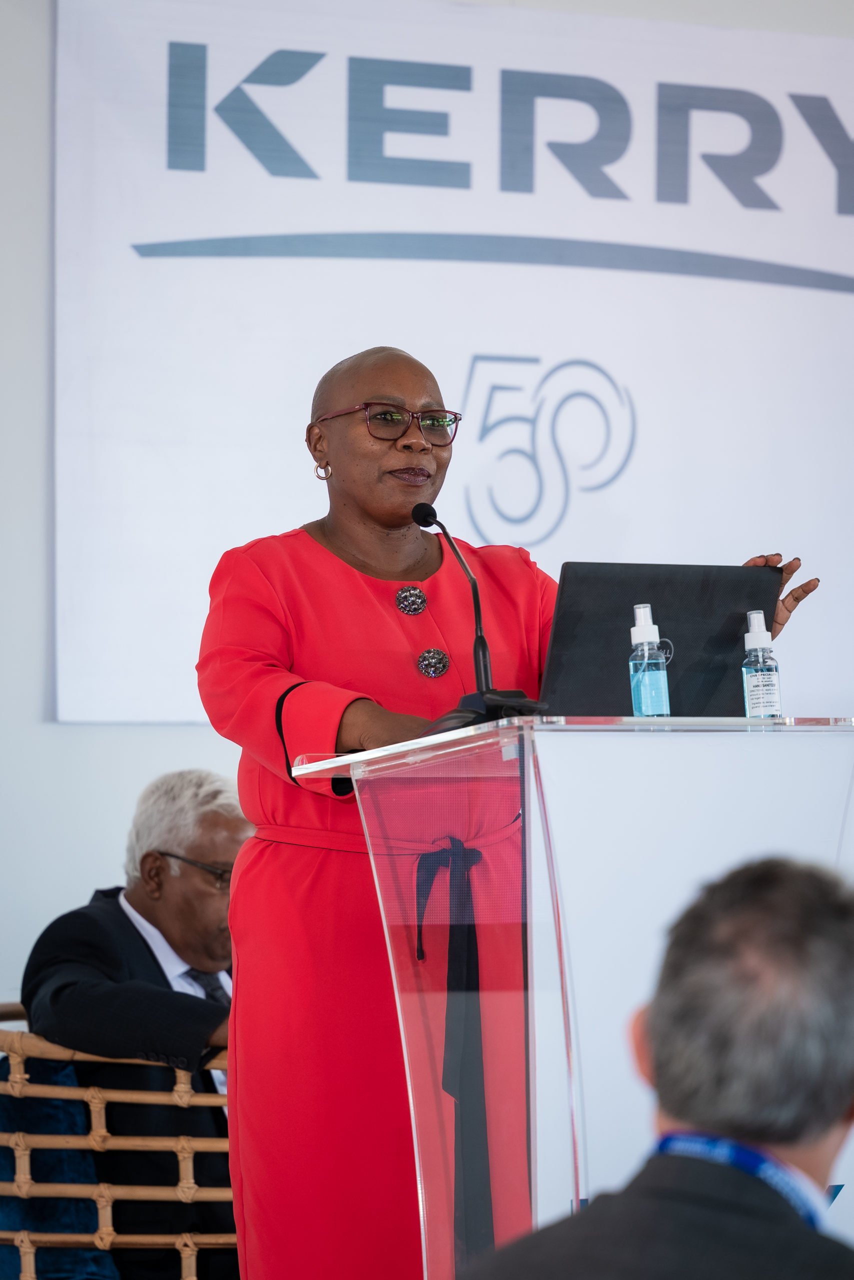 Deputy Minister of Trade, Industry and Competition, Nomalungelo Gina