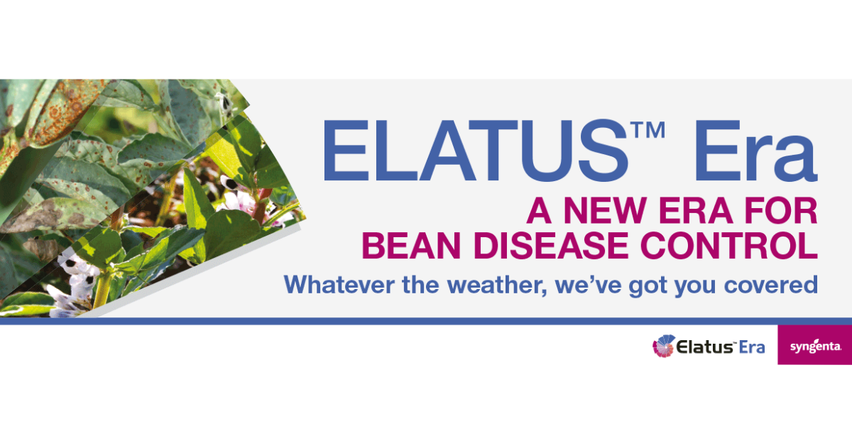 Elatus Era has proven very effective against chocolate spot and rust in bean trials