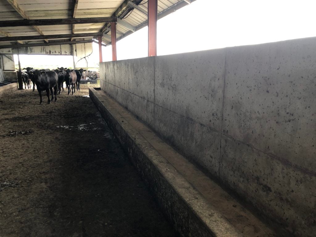Yard and shed on one of the outfarms; here, cattle can be herded and fed meal