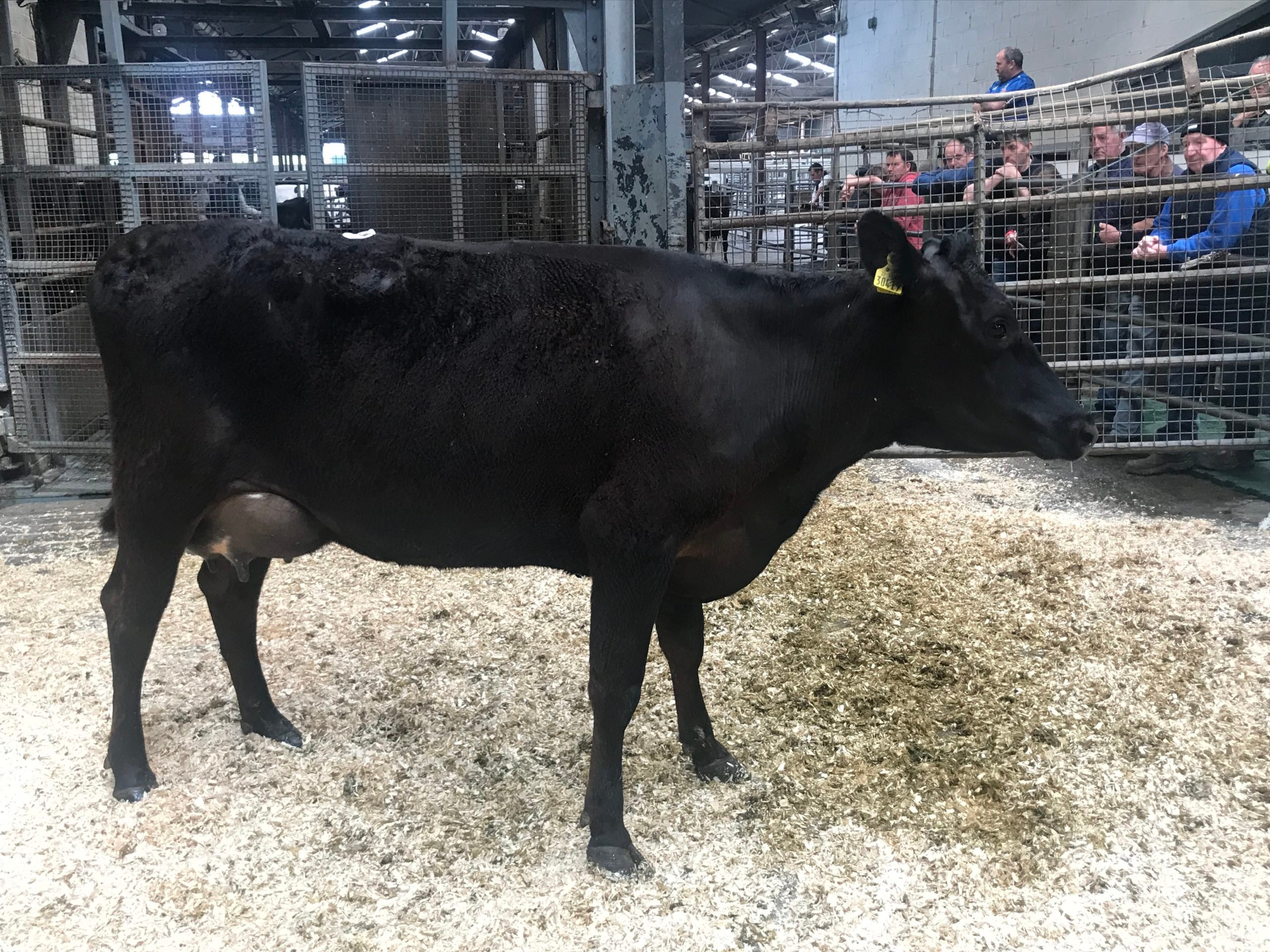 Lot 59: Sold for €2,400