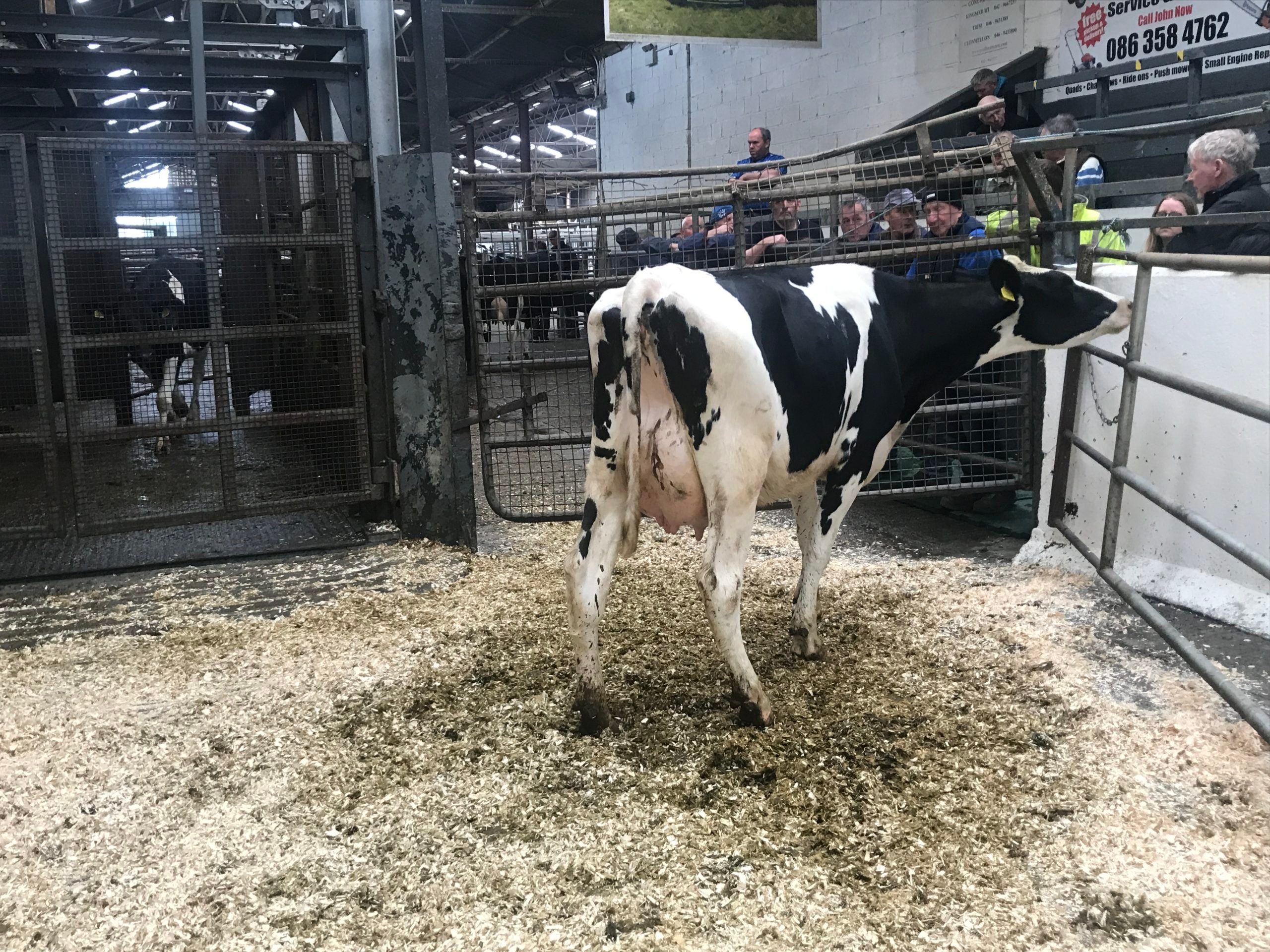 Lot 8: Sold for €2,500
