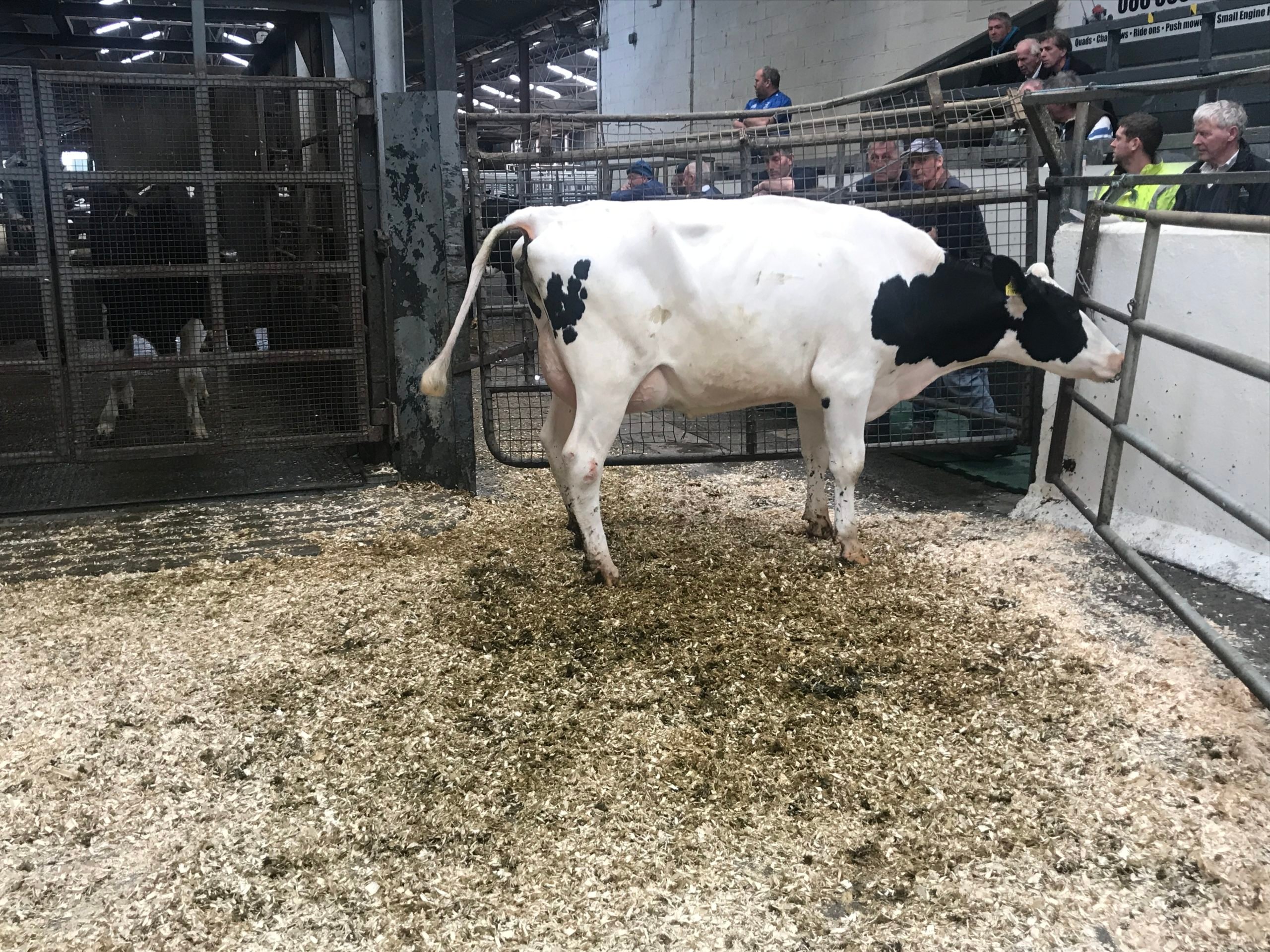 Lot 24: Sold for €2,480