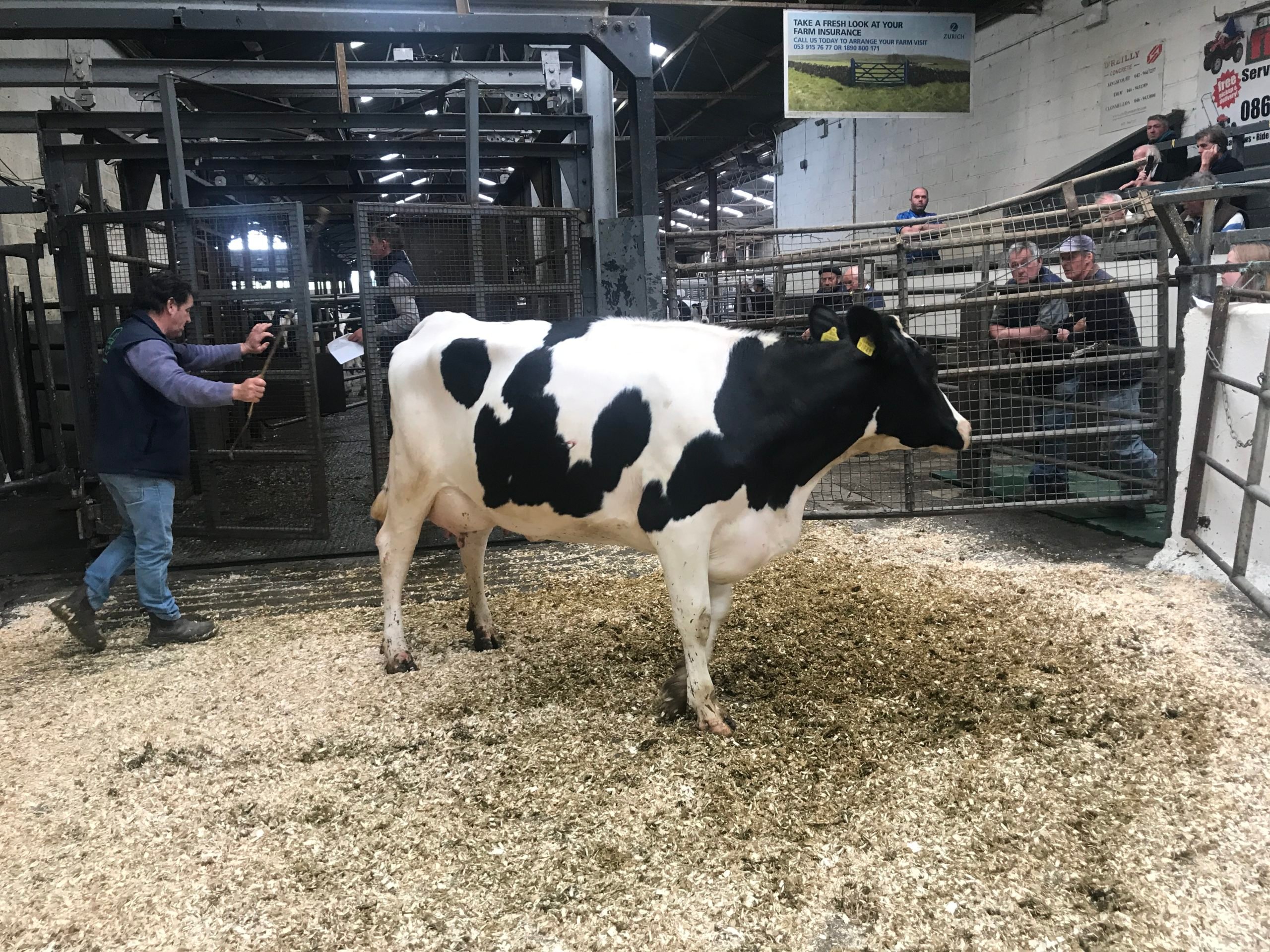 Lot 9: Sold for €2,620