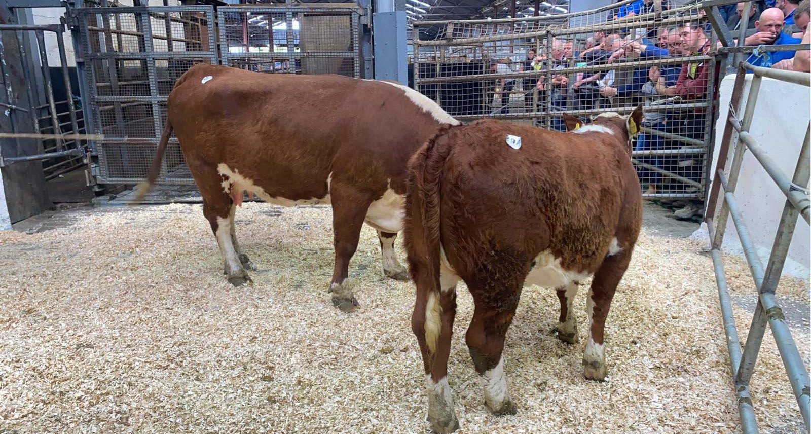 Lot 29: €4,200