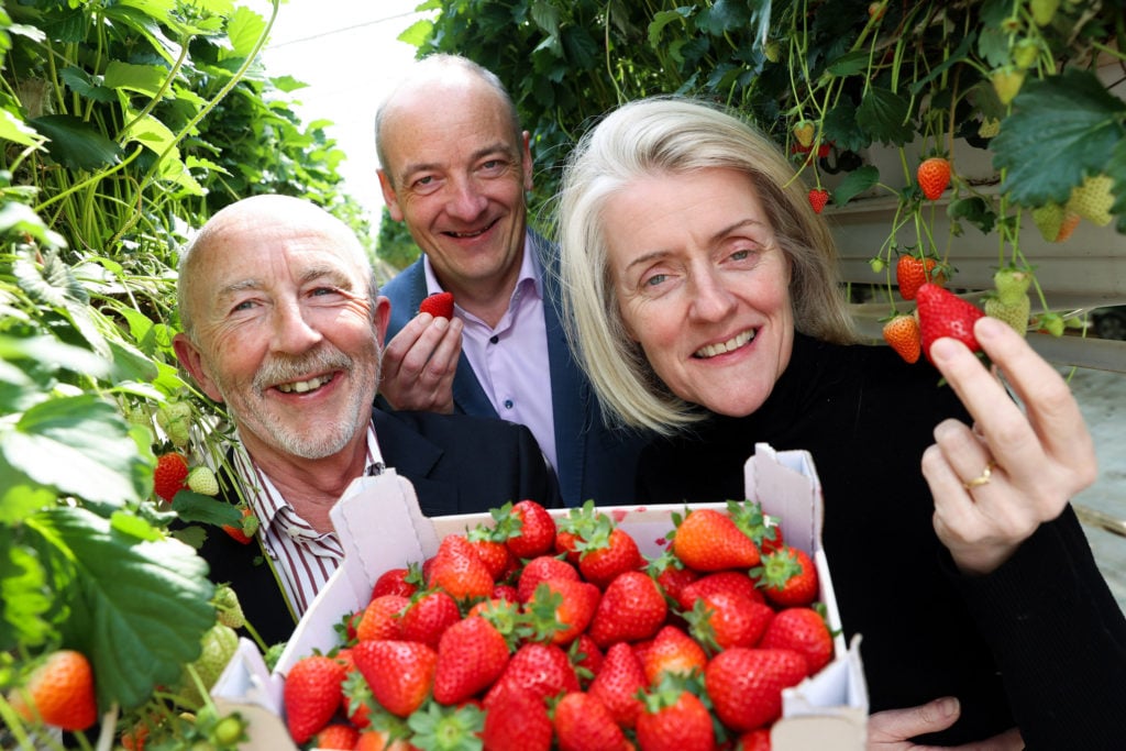 l-r: Kieran Rumley, Love Irish Food executive director; Owen McFeely, director, PwC Retail and Consumer Practice; and Mary Sadlier, Coole Swan and director, Love Irish Food. Image: MAXWELLS