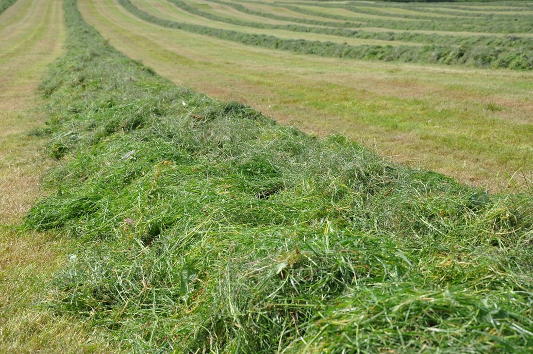 ULV reduces the labour involved with using a silage additive