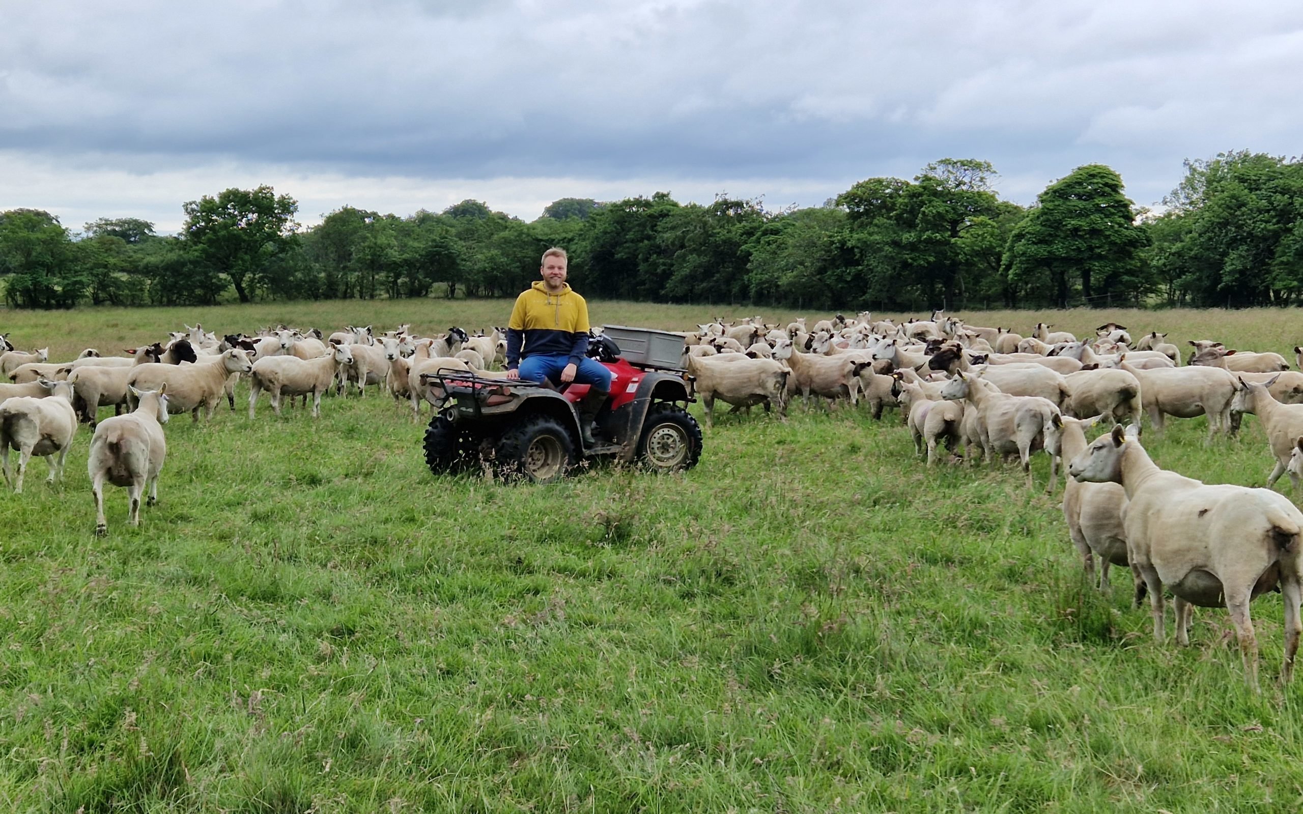 Richard holds about 100 animals on his farm. Image source: Richard Berry