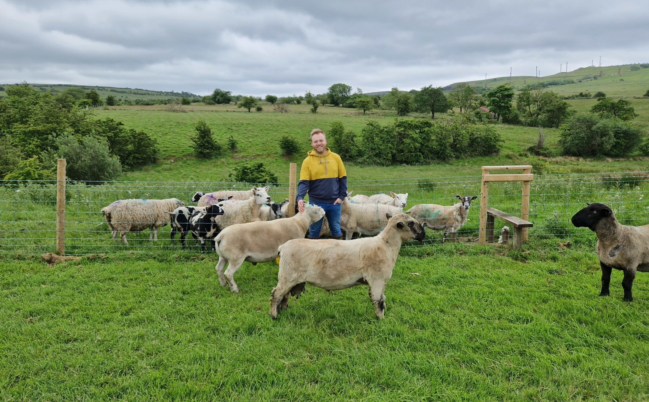 Richard with his sheep on the farm in Co. Antrim. Image source: Richard Berry