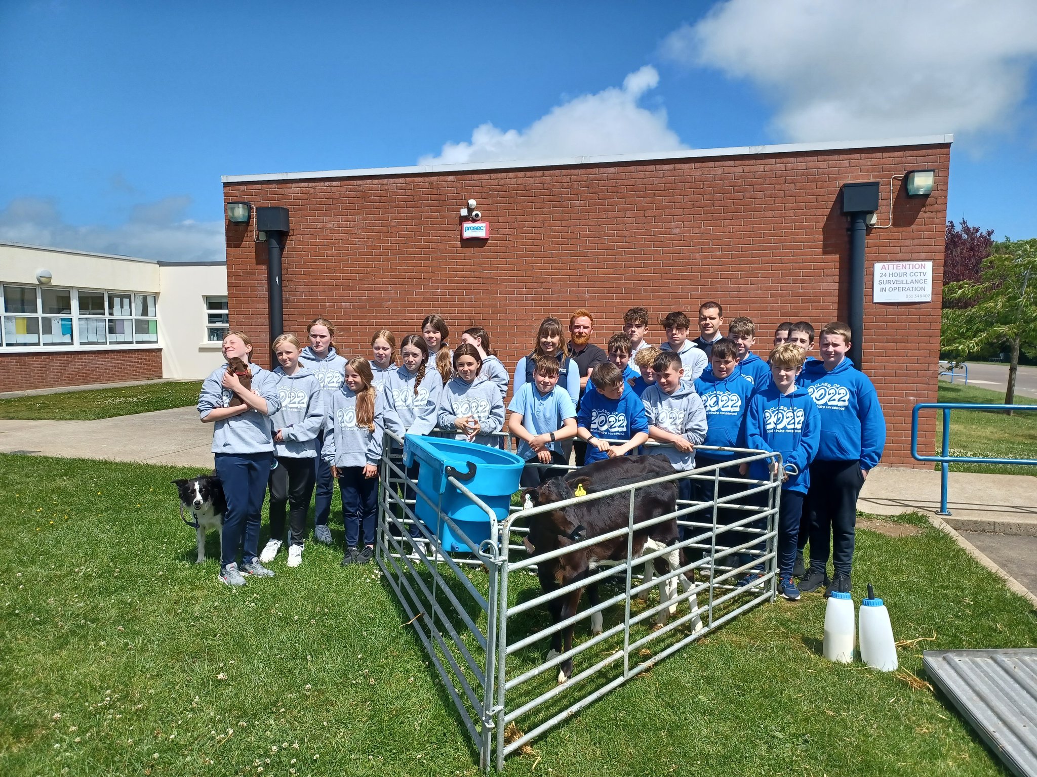 Pupils from sixth class at Scoil Mhuire in Horeswood, Co. Wexford. Image source: Airfield Estate