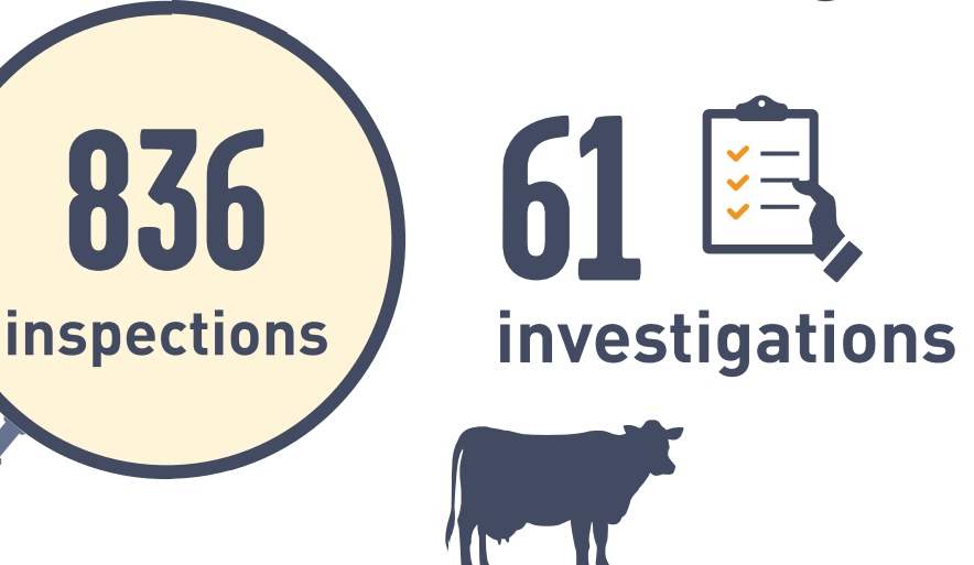 Number of inspections and investigations in 2020