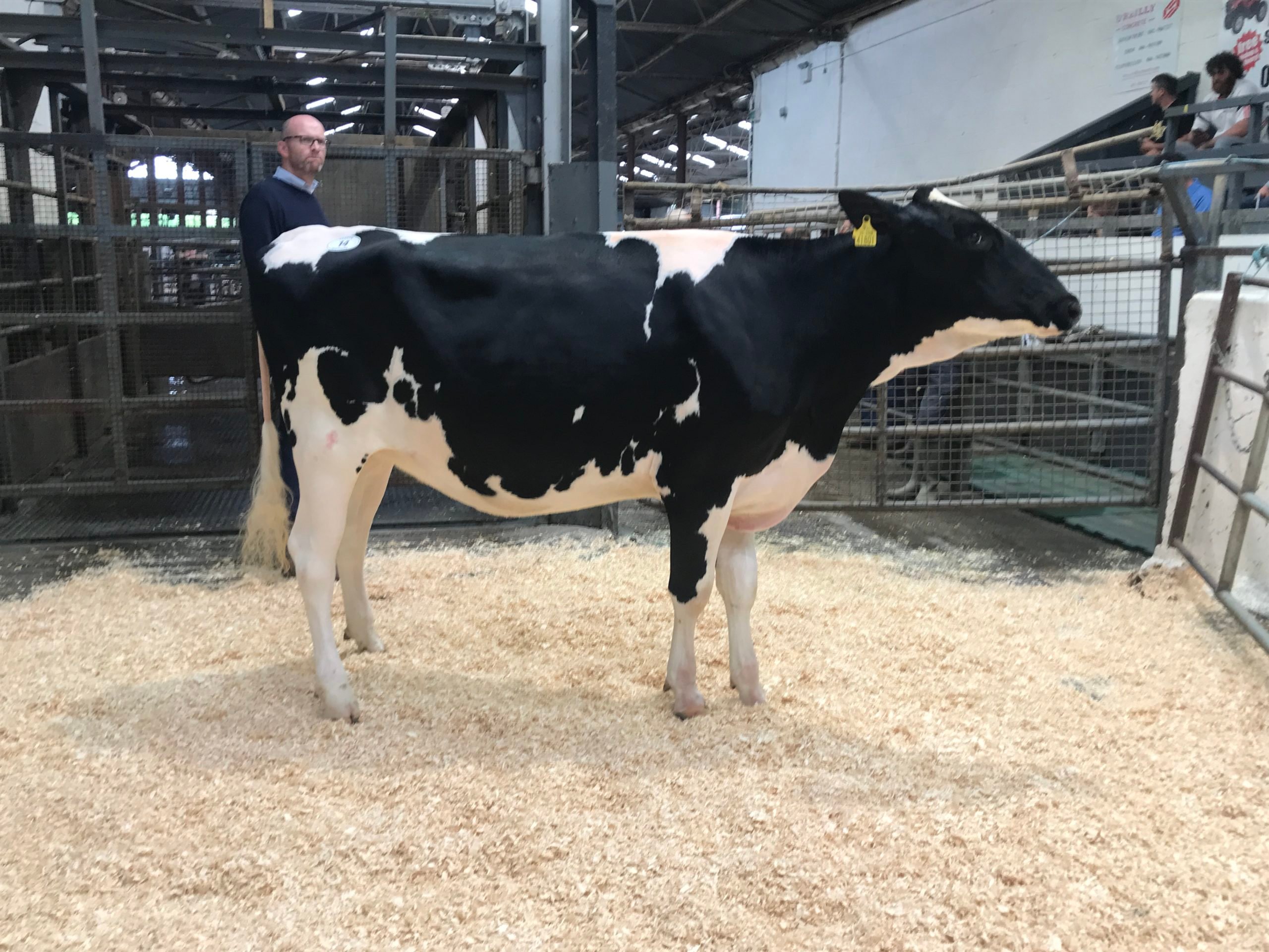 Lot 14 Bawnmore Doorman GhostSold for 6,500gns