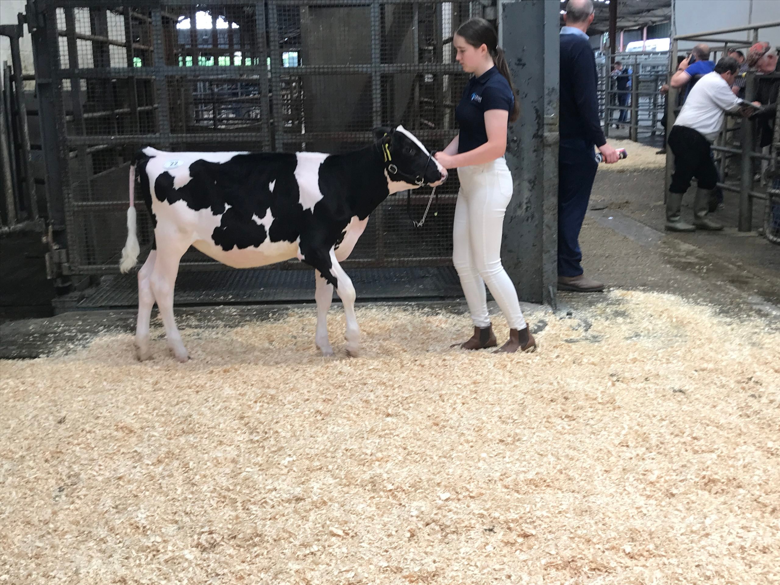 Lot 22: Leagh Lamba LavishSold for 3,900gns