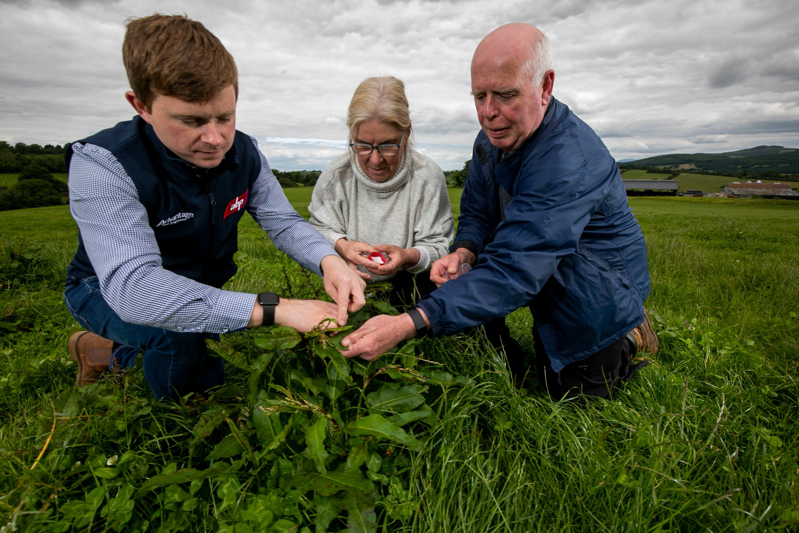 ABP agri-sustainability manager, Stephen Connolly, with agricultural consultants Siobhan and Louis Ward at ABP’s demonstration farm in Clonegal, Co. Carlow. Image source: Fennell Photography
