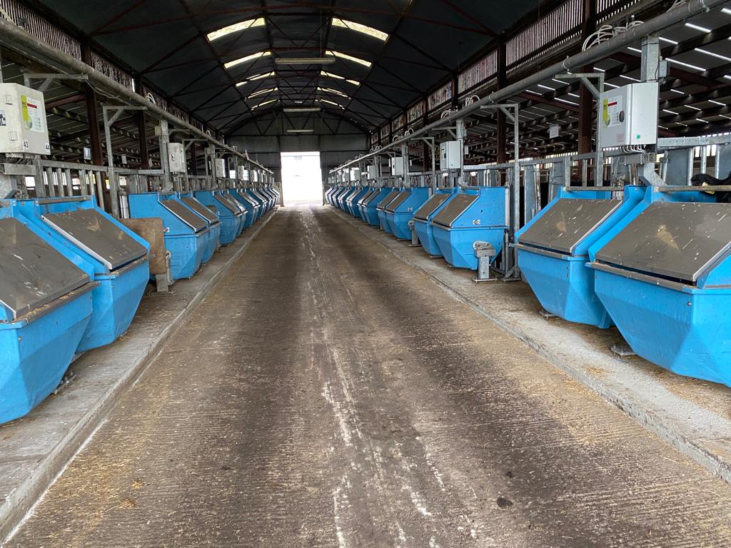 ICBF's Tully Progeny Test Centre in Co. Kildare.