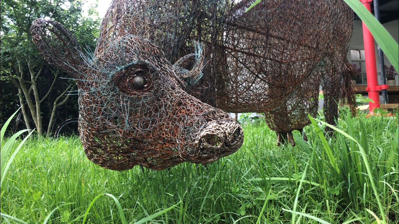 Specifically commissioned bronze wire mesh cow in the NDC Sustainable Dairy Farm Garden