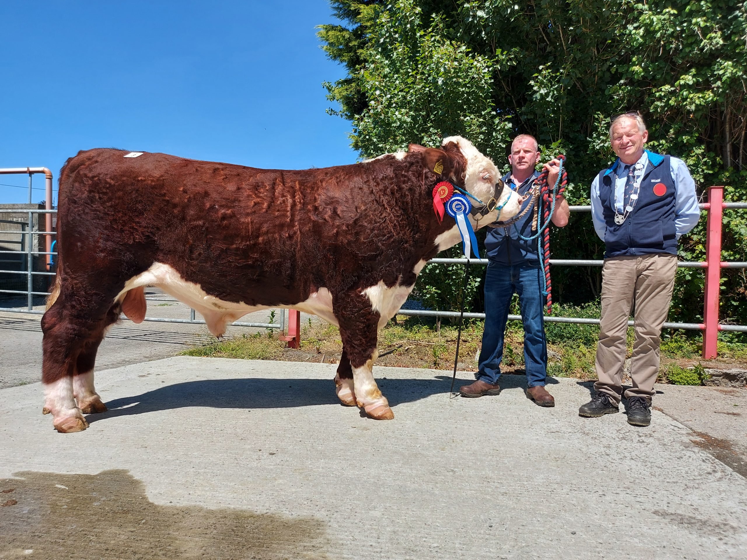 Carrick Hector was crowned Reserve Champion before selling for the second-highest price; €3,300. Pictured L-R: Breeder Philip Lynch and judge Adrian Bateman