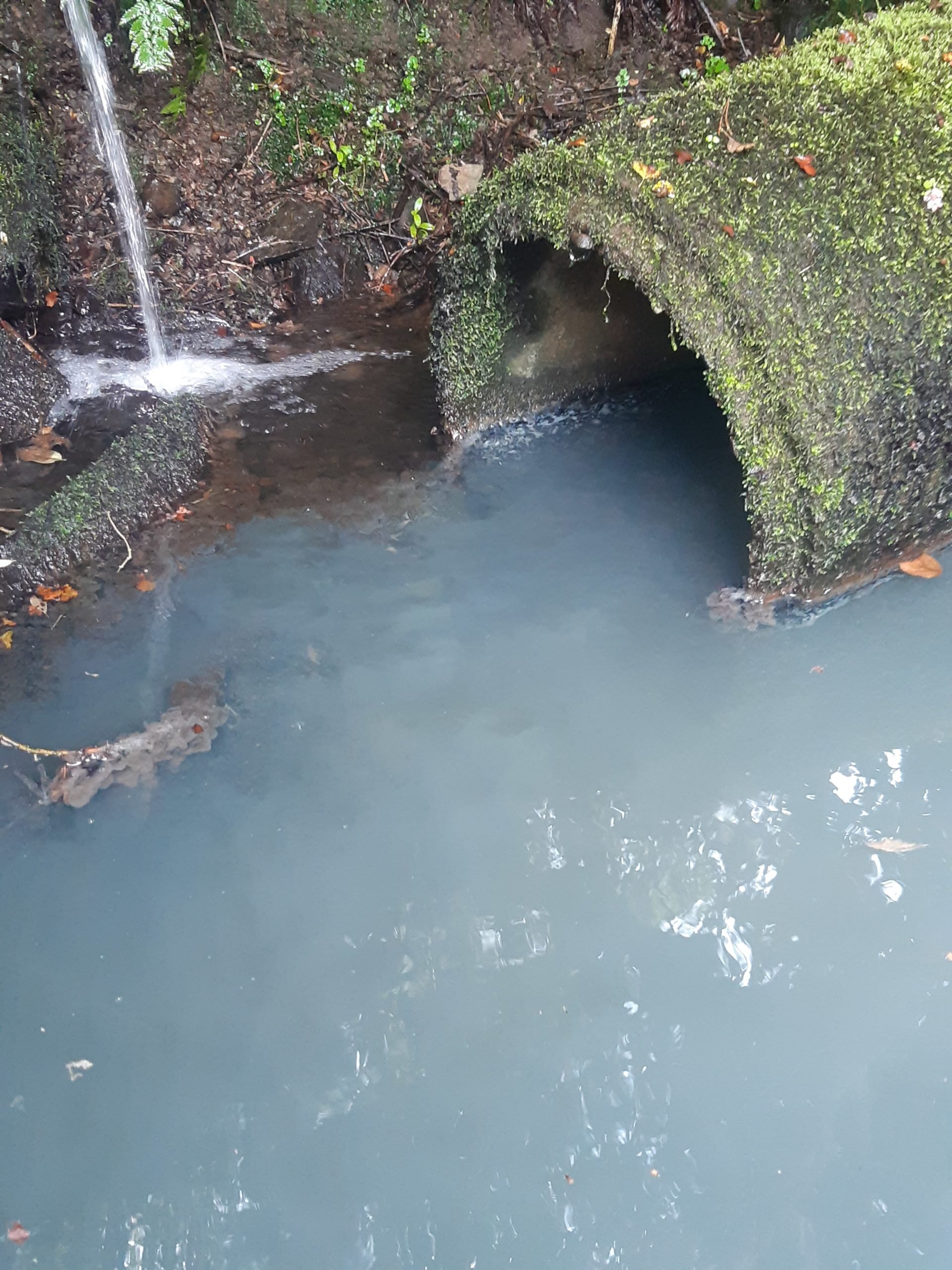Picture showing effluent, a highly toxic substance, flowing into a stream. Image source: Inland Fisheries Ireland