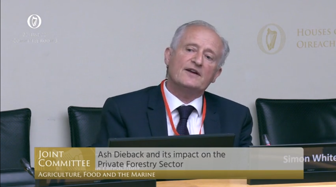 Chair of the LTWO, Simon White