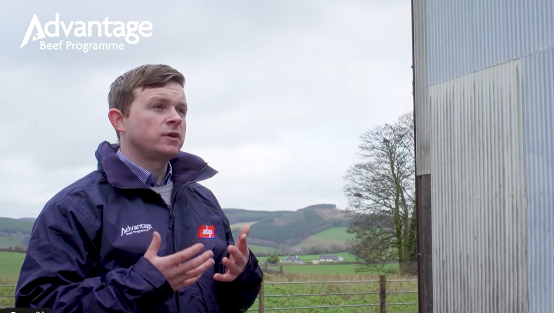 ABP's agri-sustainability manager: Stephen Connolly