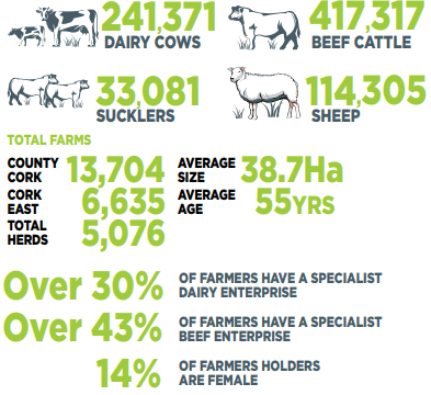 Cork east. Image source: Teagasc
