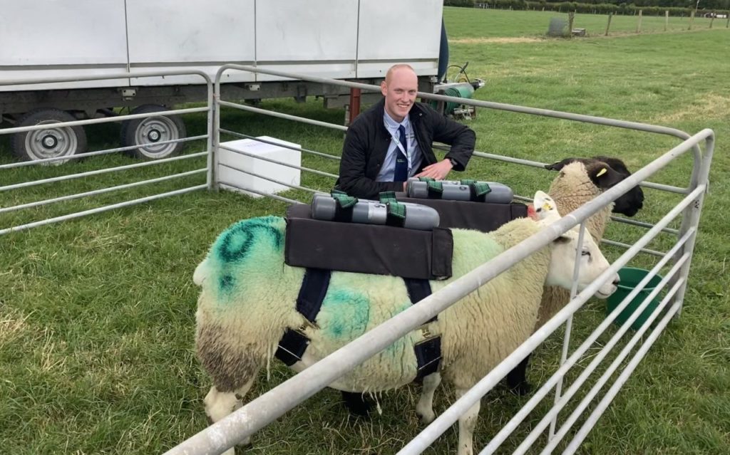Teagasc sheep technician Eoin Dunne