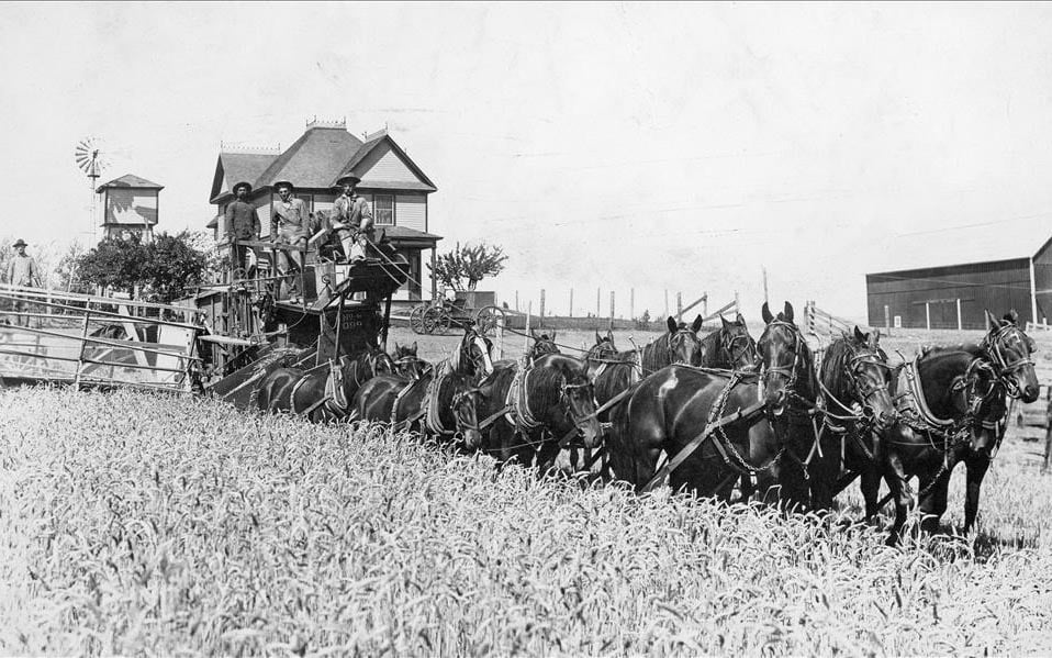 The combine harvester was being developed in California as the reaper wars took hold in the mid-west