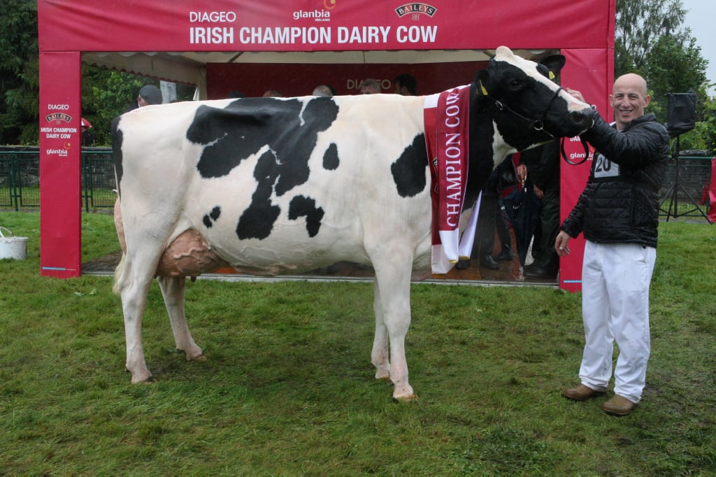 John Dowling, Co. Dublin owner of the 2019 Diageo Baileys Champion, Baldonnel Flashmatic Draw EX94