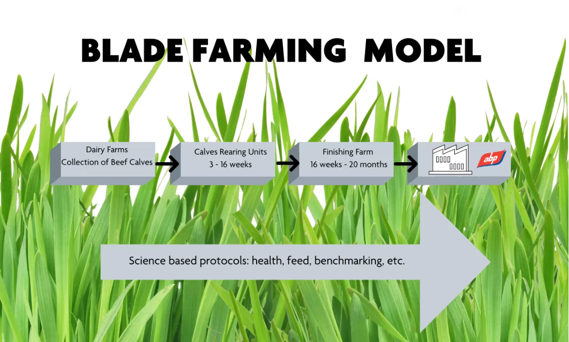Diagram of how ABP's Blade farming model works