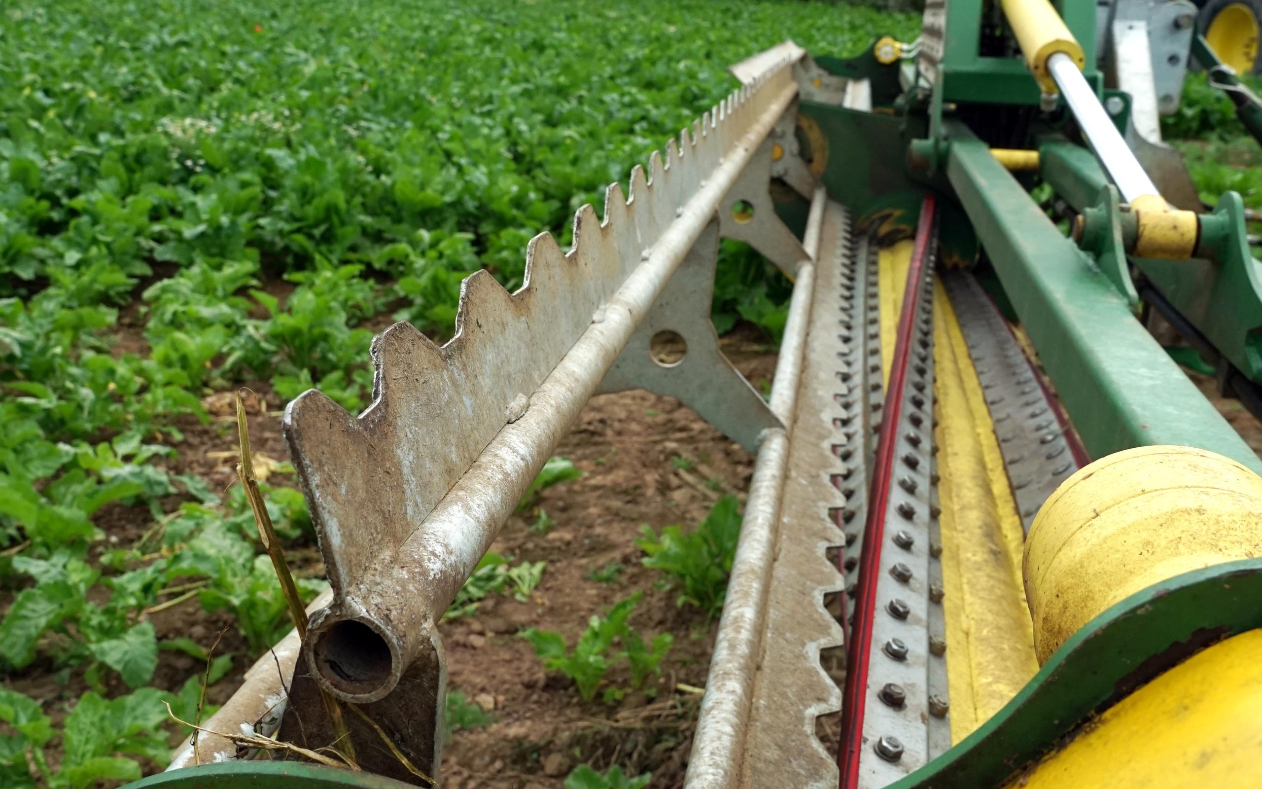At the front of the machine, the third component is the reel that ensures weeds do not fall forwards but are guided back to the spiral.