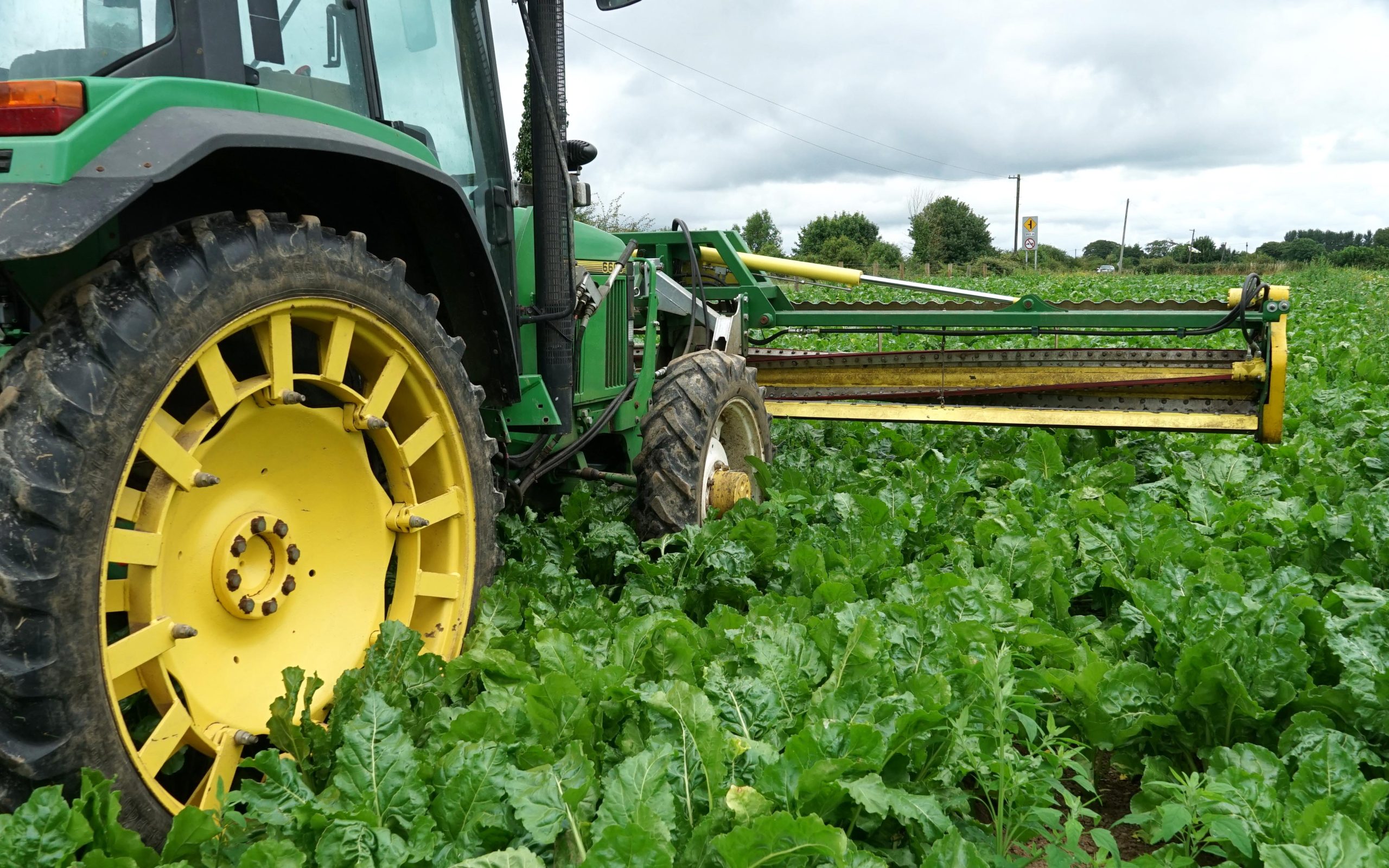The spiral roller can be clearly seen when lifted above the crop