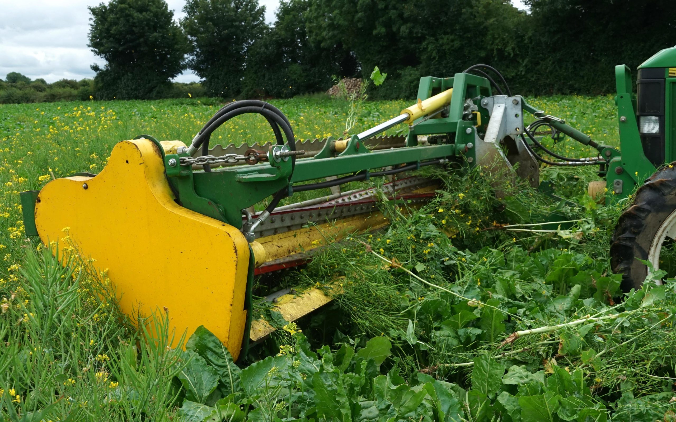 When working, the machine throws the pulled weeds to the rear, where they dry out before falling back through the crop canopy
